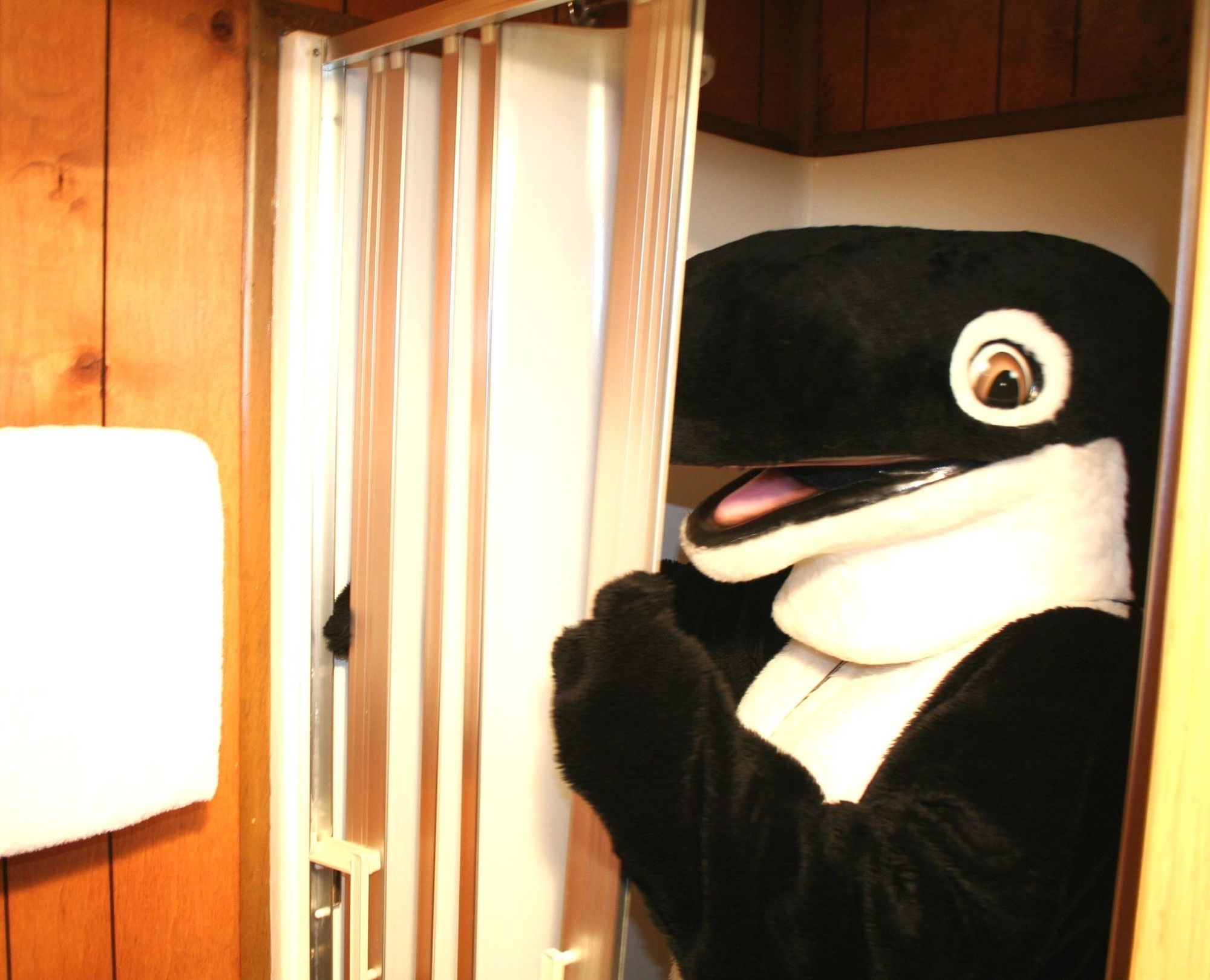 The Orca Inn