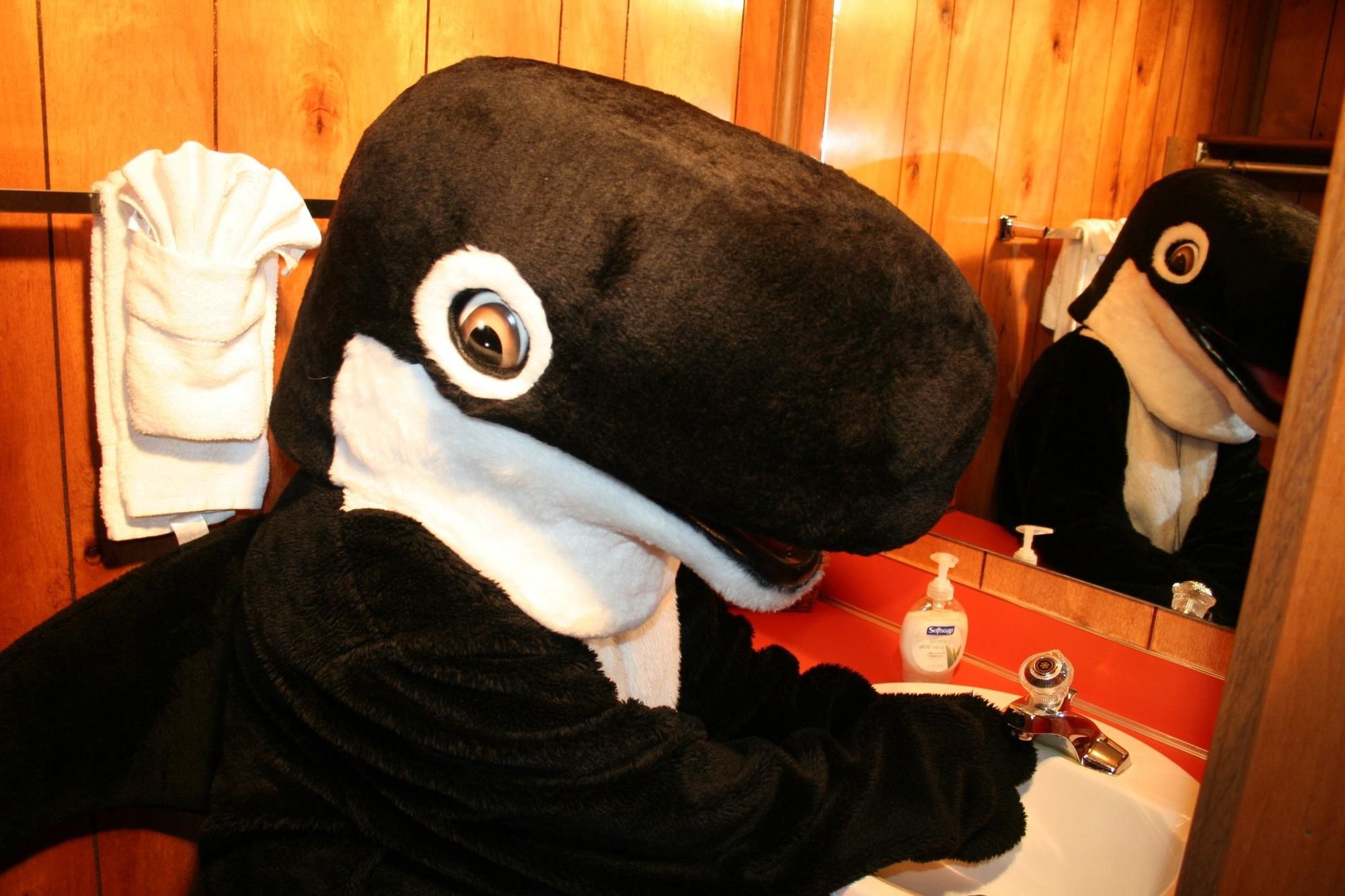 The Orca Inn
