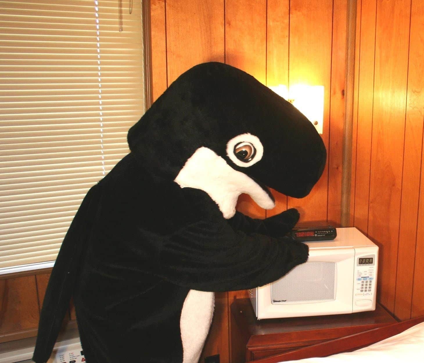 The Orca Inn