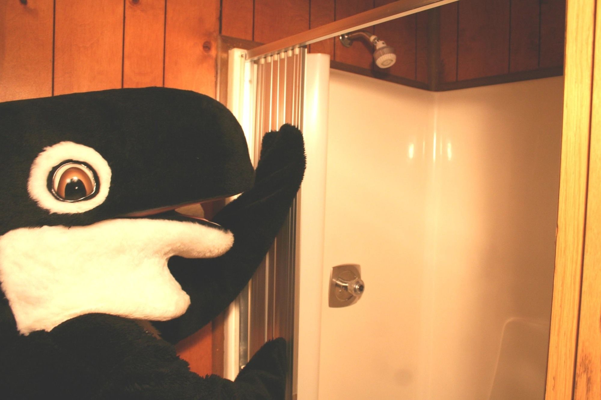 The Orca Inn