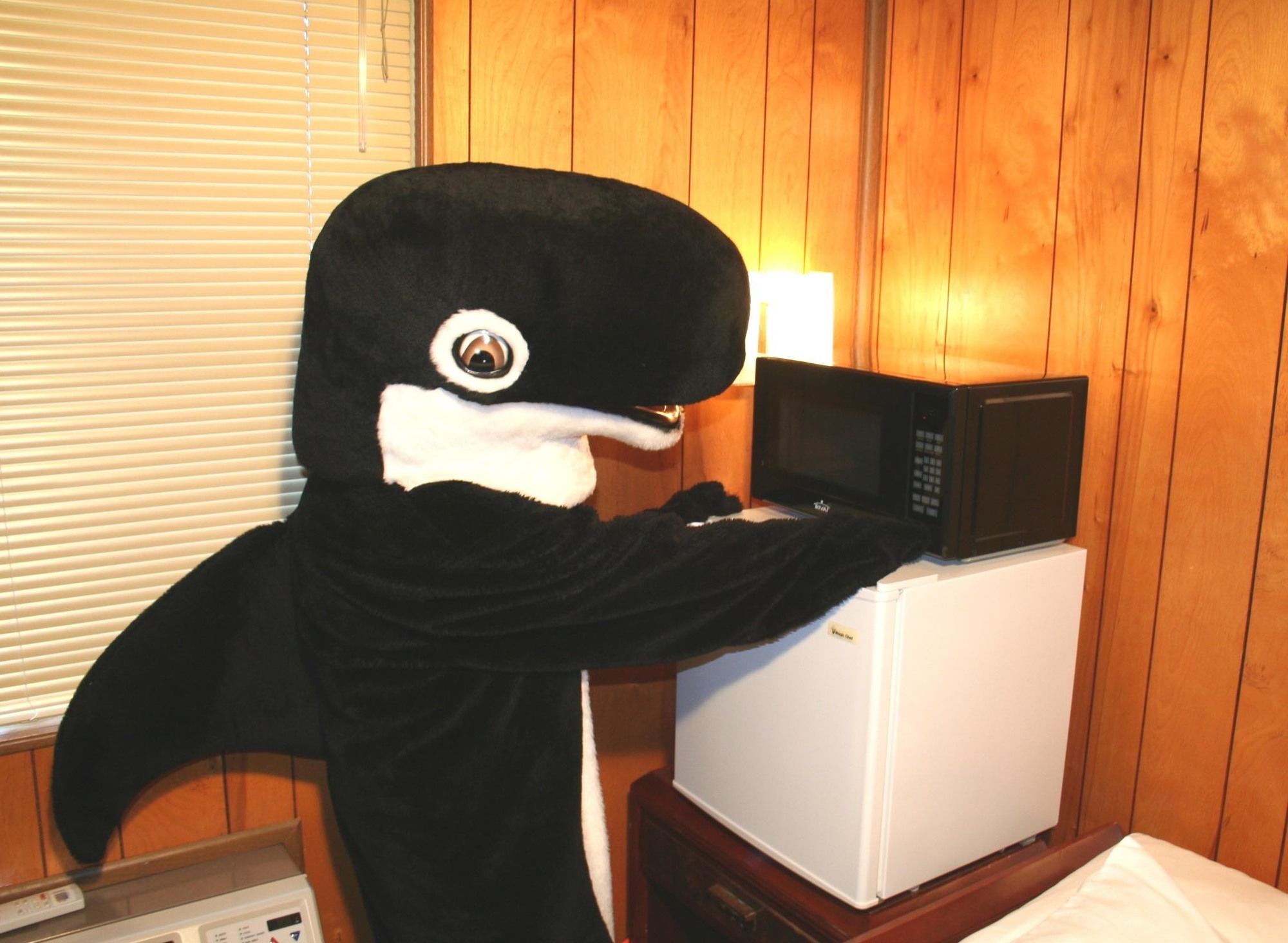 The Orca Inn