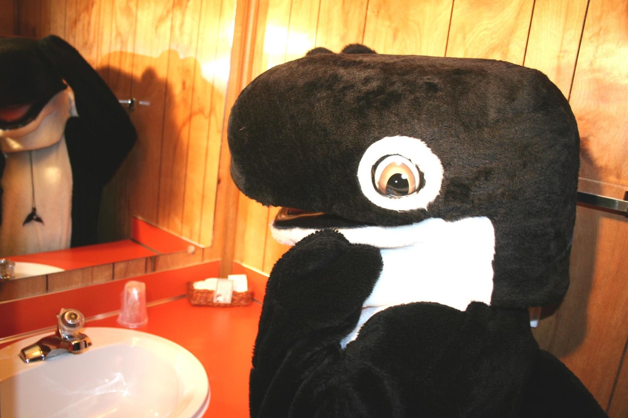 The Orca Inn