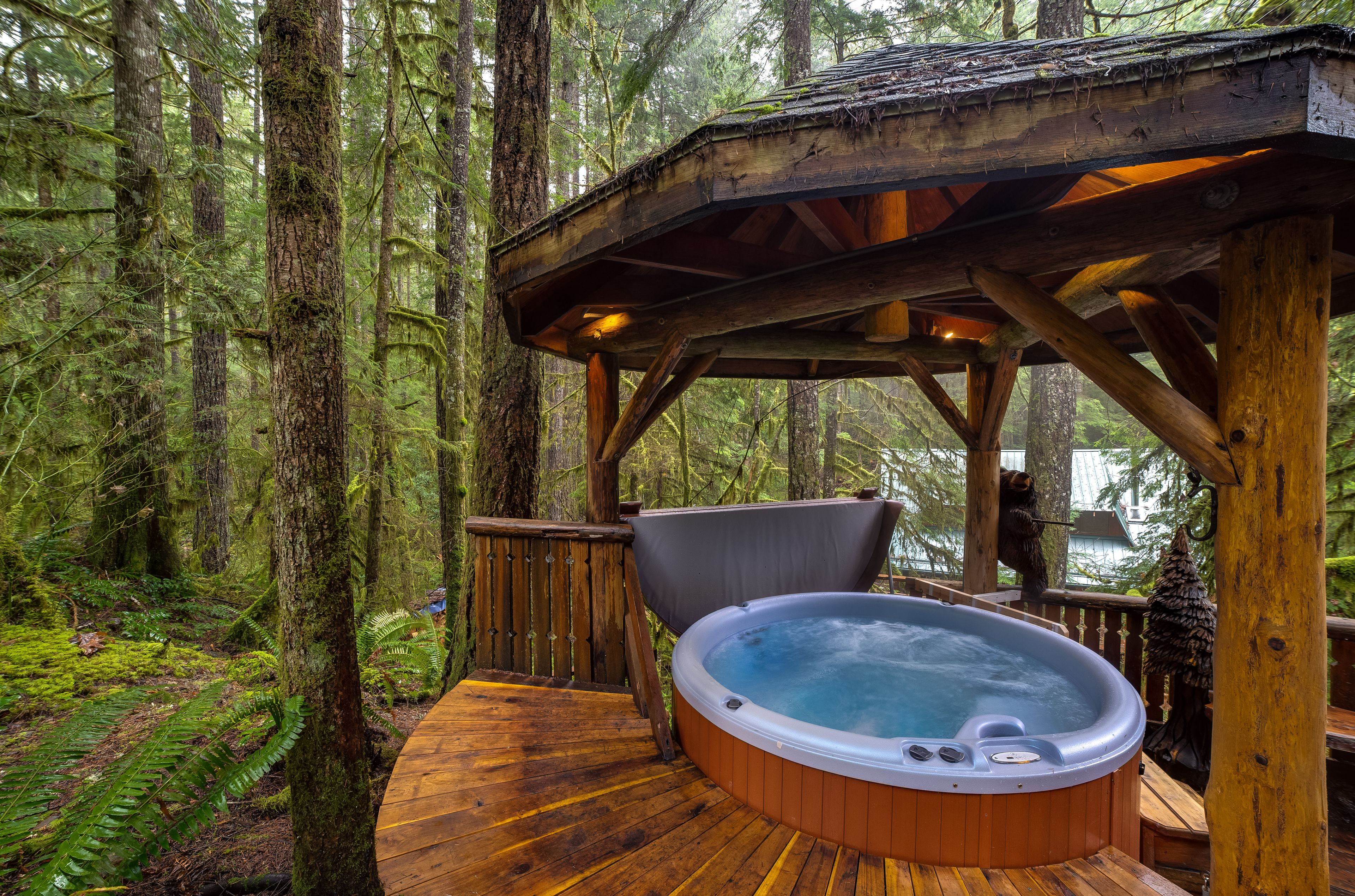 Mount Baker by Mt. Baker Lodging