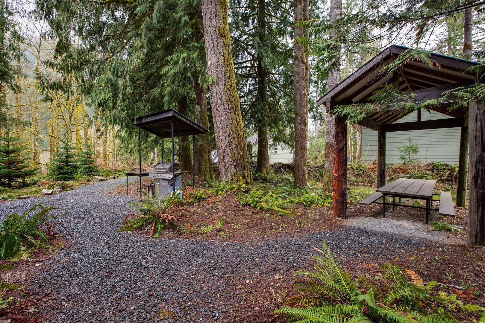 Mount Baker by Mt. Baker Lodging