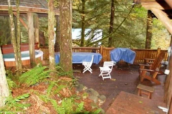 Mount Baker by Mt. Baker Lodging