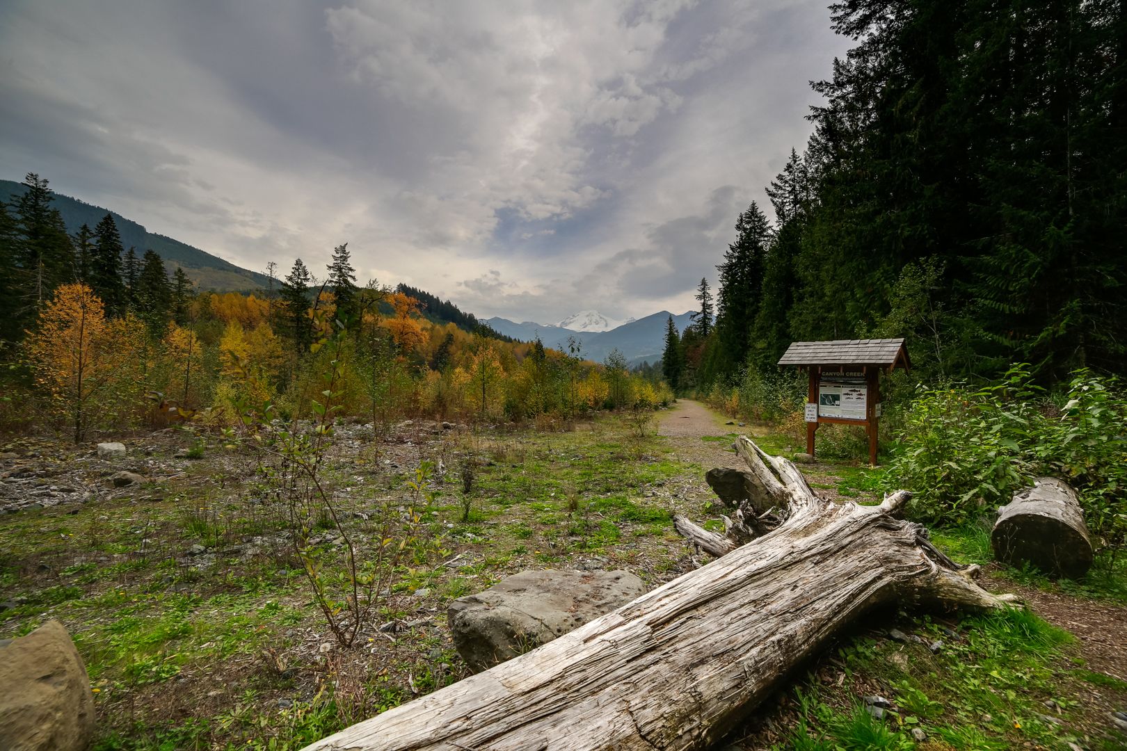Mount Baker by Mt. Baker Lodging