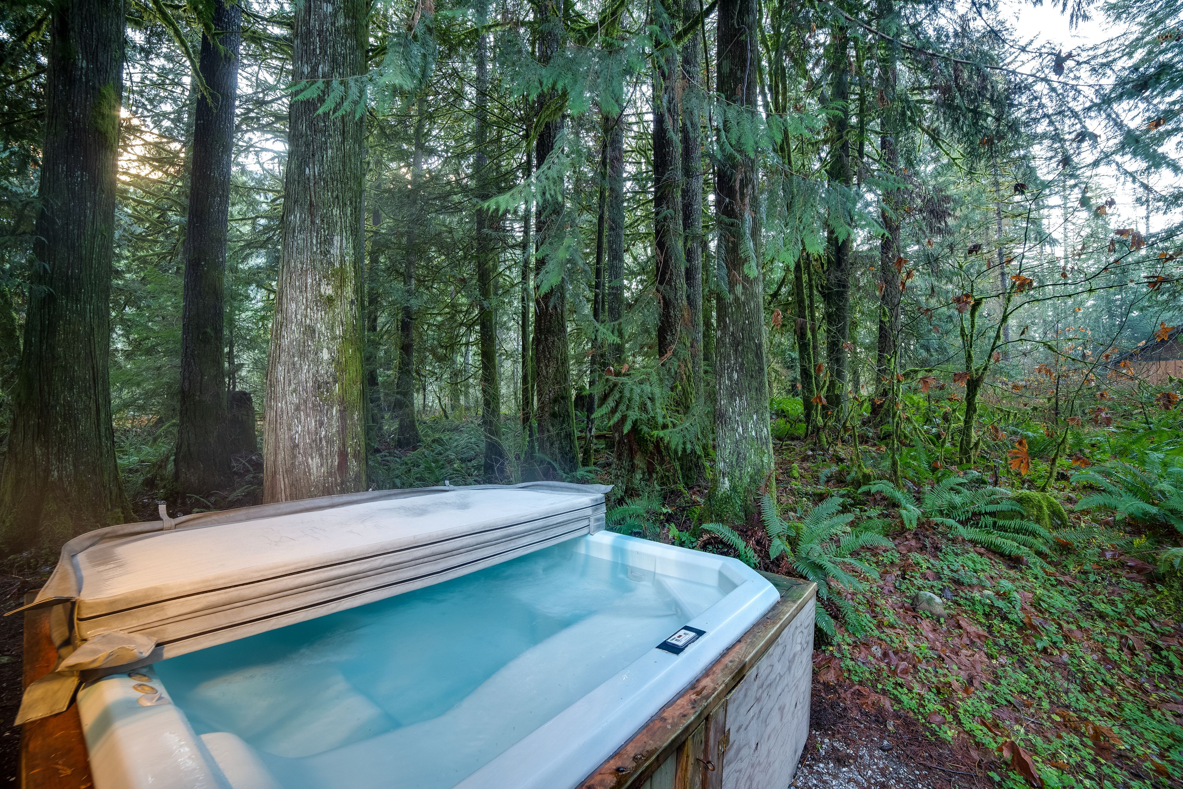 Mount Baker by Mt. Baker Lodging