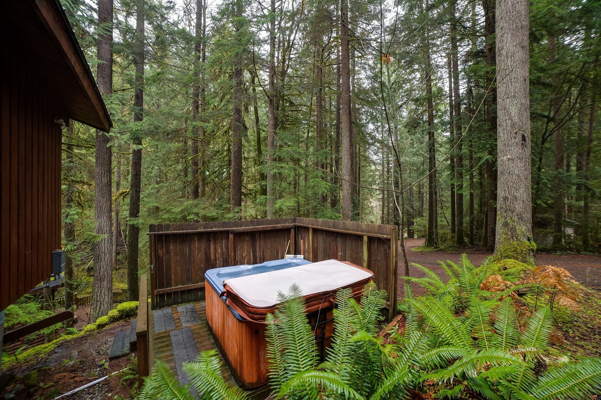 Mount Baker by Mt. Baker Lodging