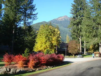 Mount Baker by Mt. Baker Lodging