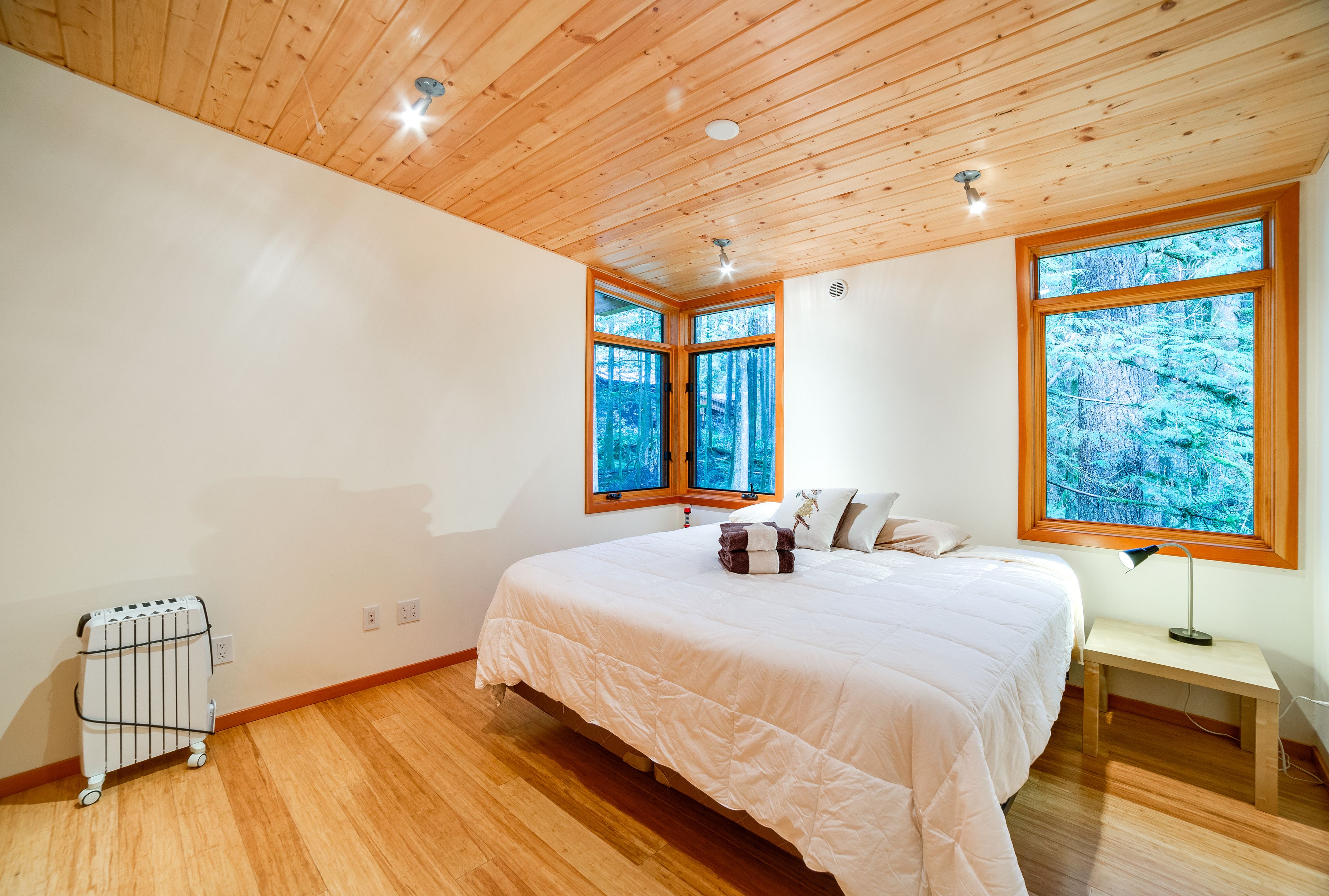 Mount Baker by Mt. Baker Lodging
