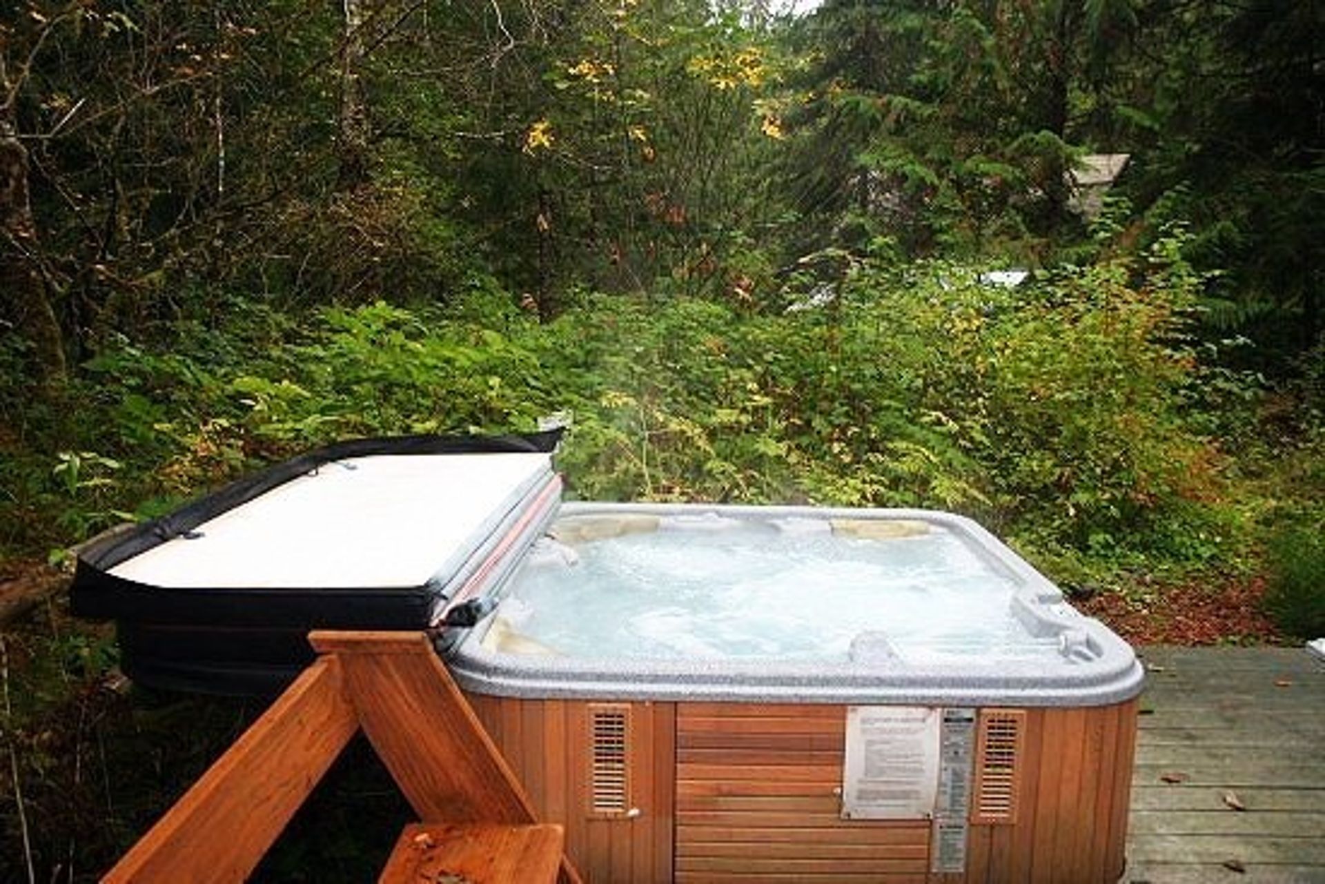Mount Baker by Mt. Baker Lodging