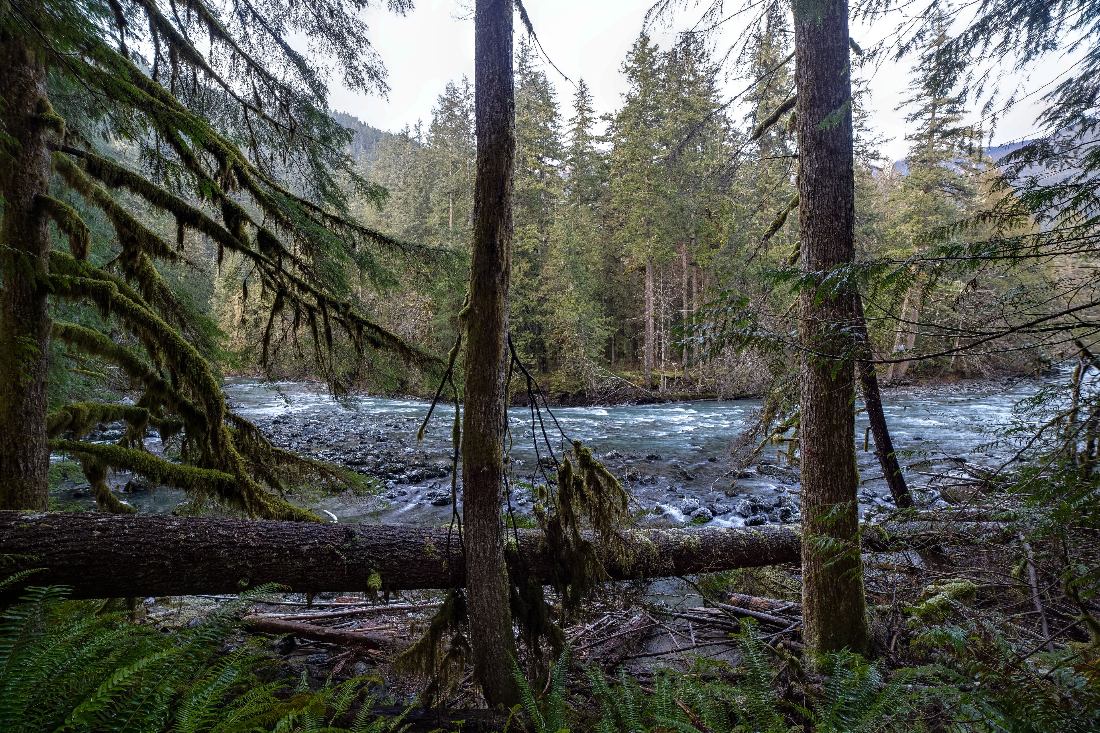 Mount Baker by Mt. Baker Lodging