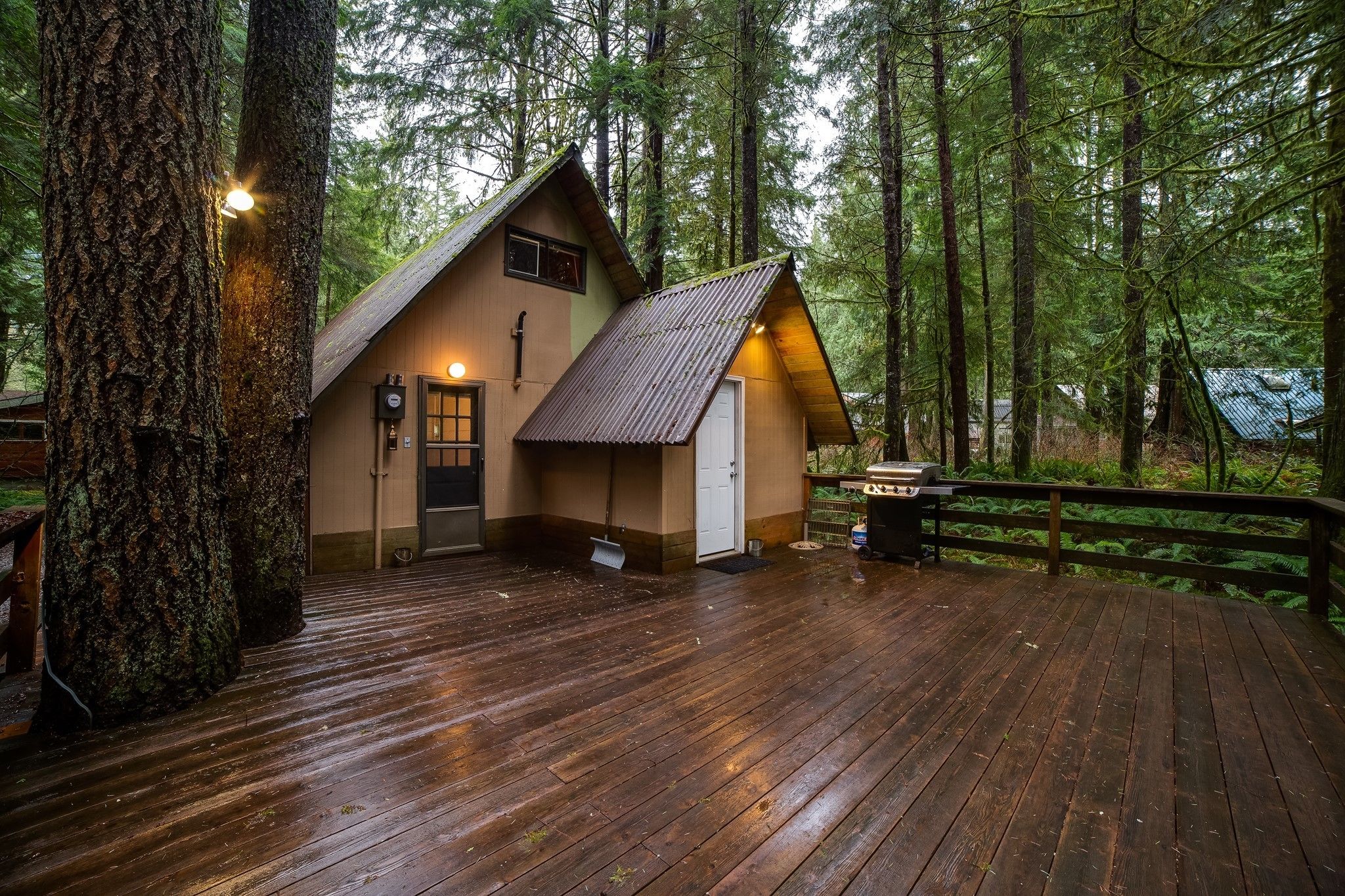 Mount Baker by Mt. Baker Lodging