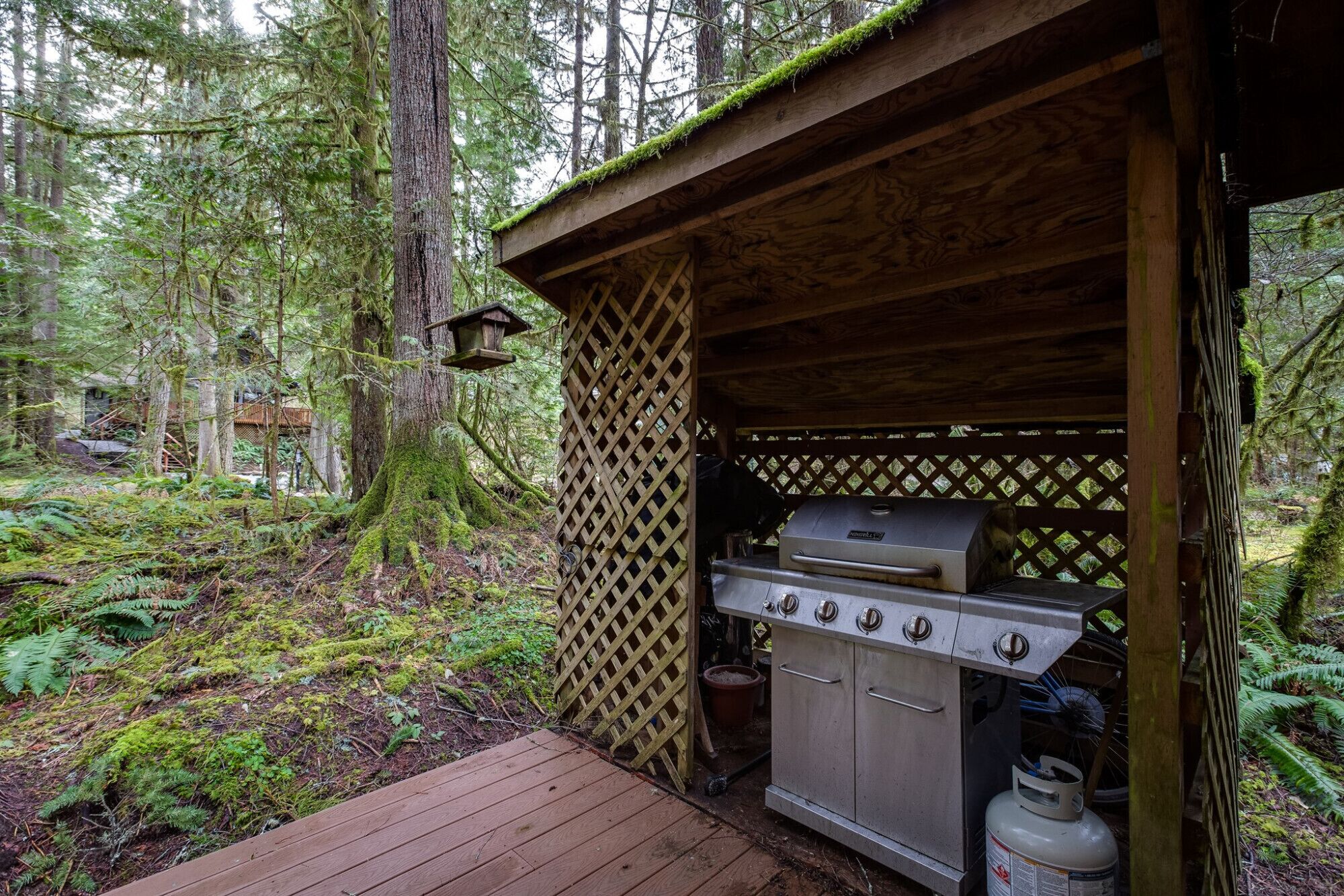 Mount Baker by Mt. Baker Lodging