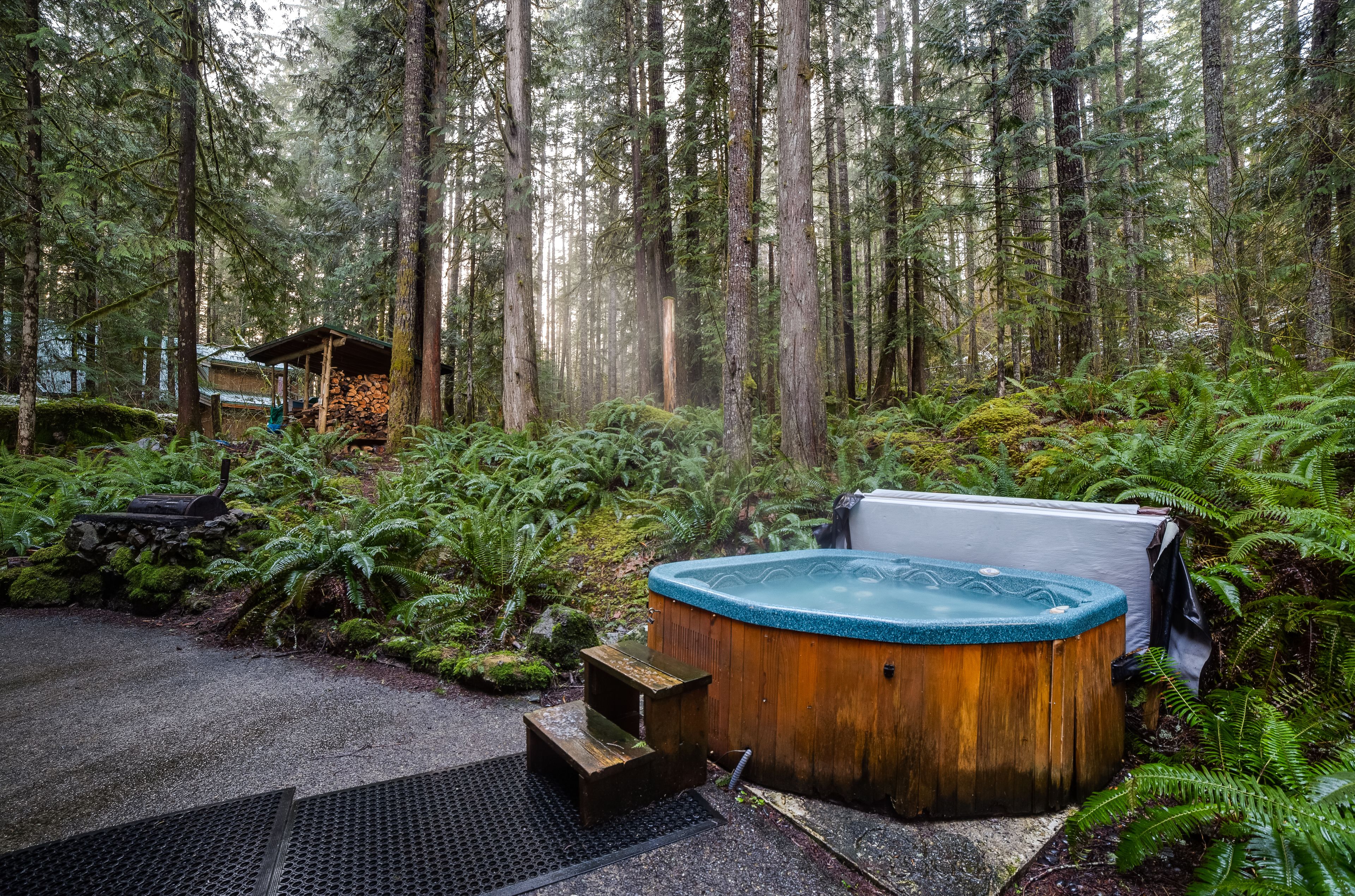 Mount Baker by Mt. Baker Lodging