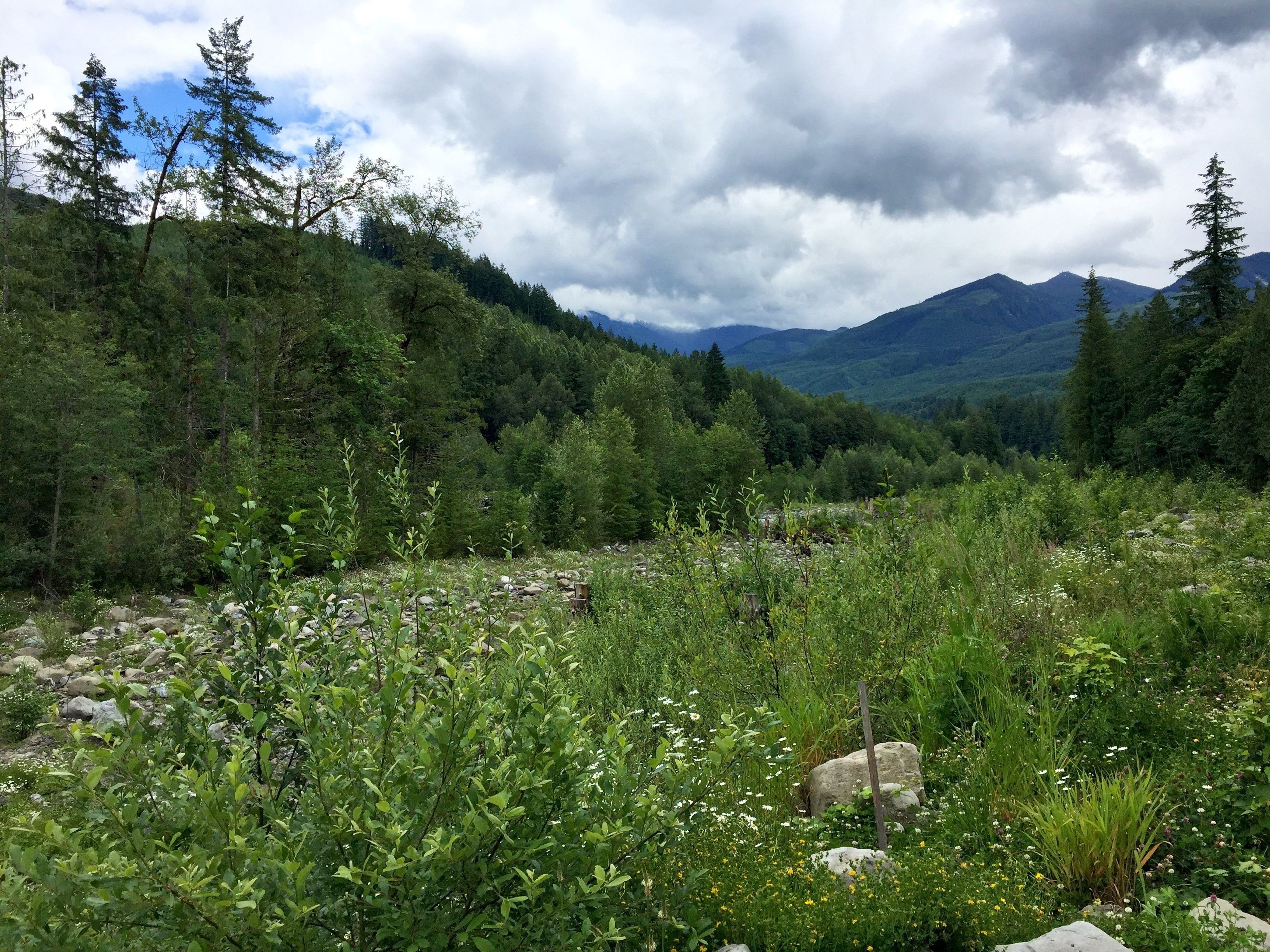 Mount Baker by Mt. Baker Lodging