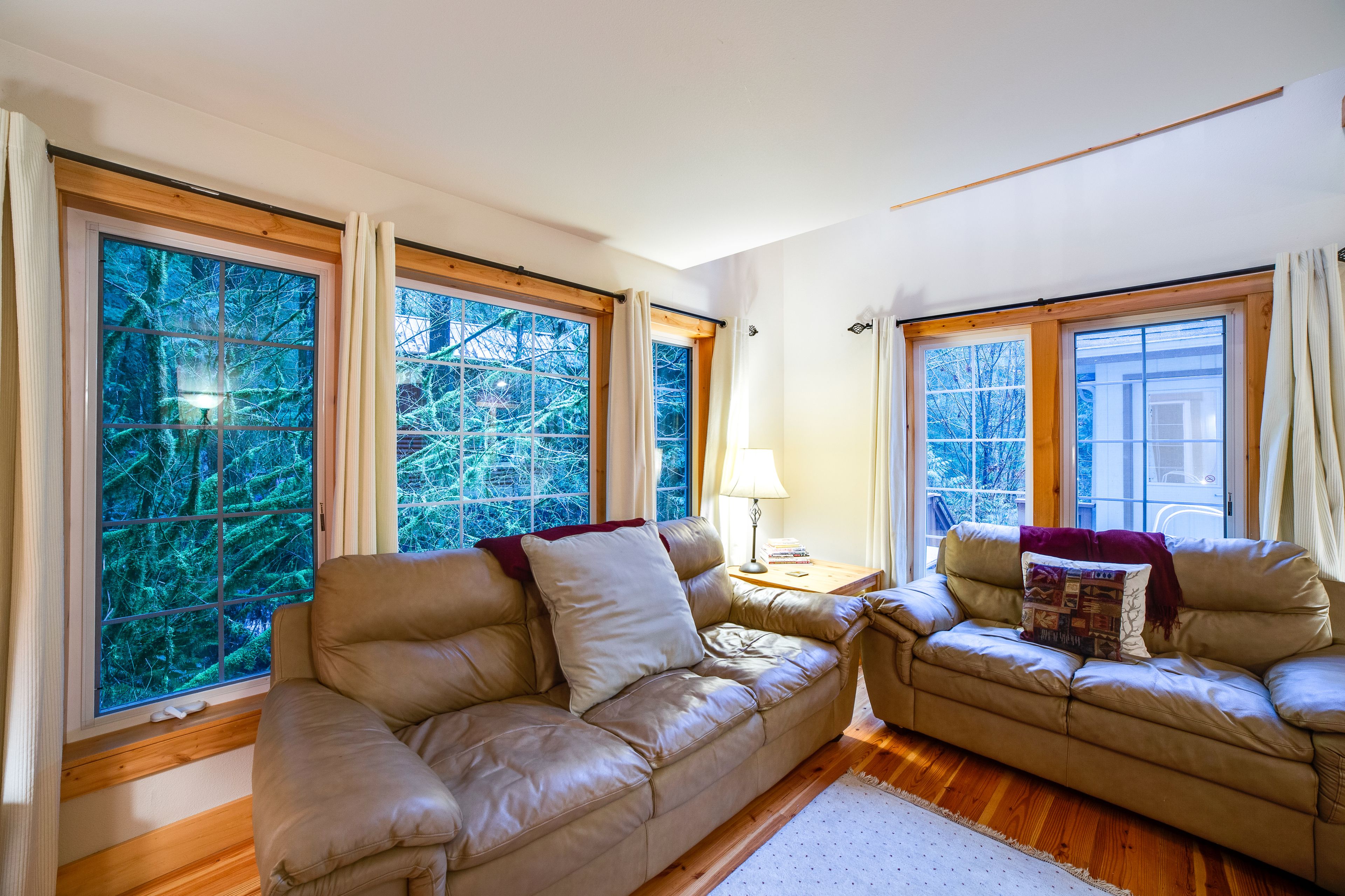 Mount Baker by Mt. Baker Lodging
