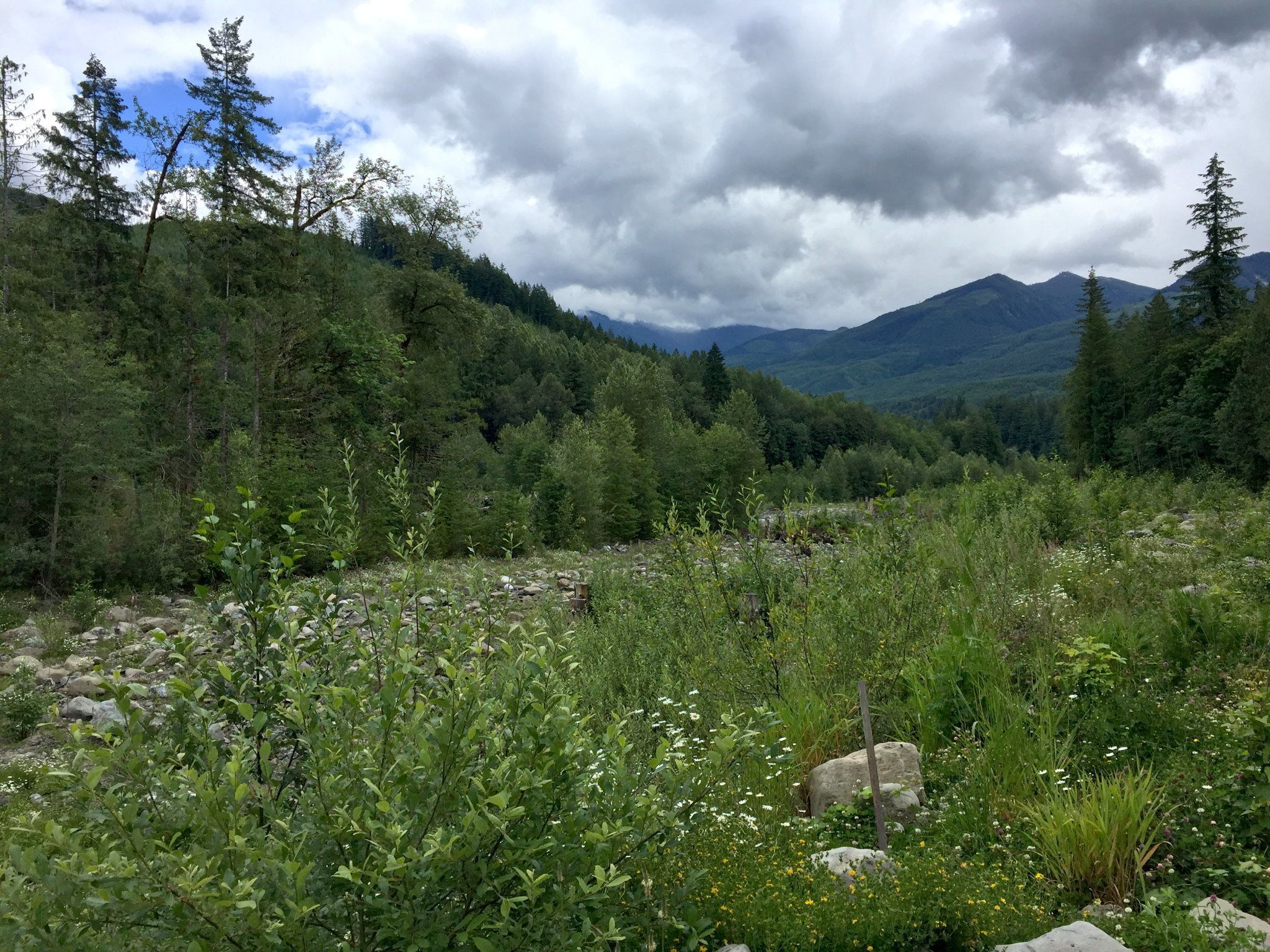 Mount Baker by Mt. Baker Lodging