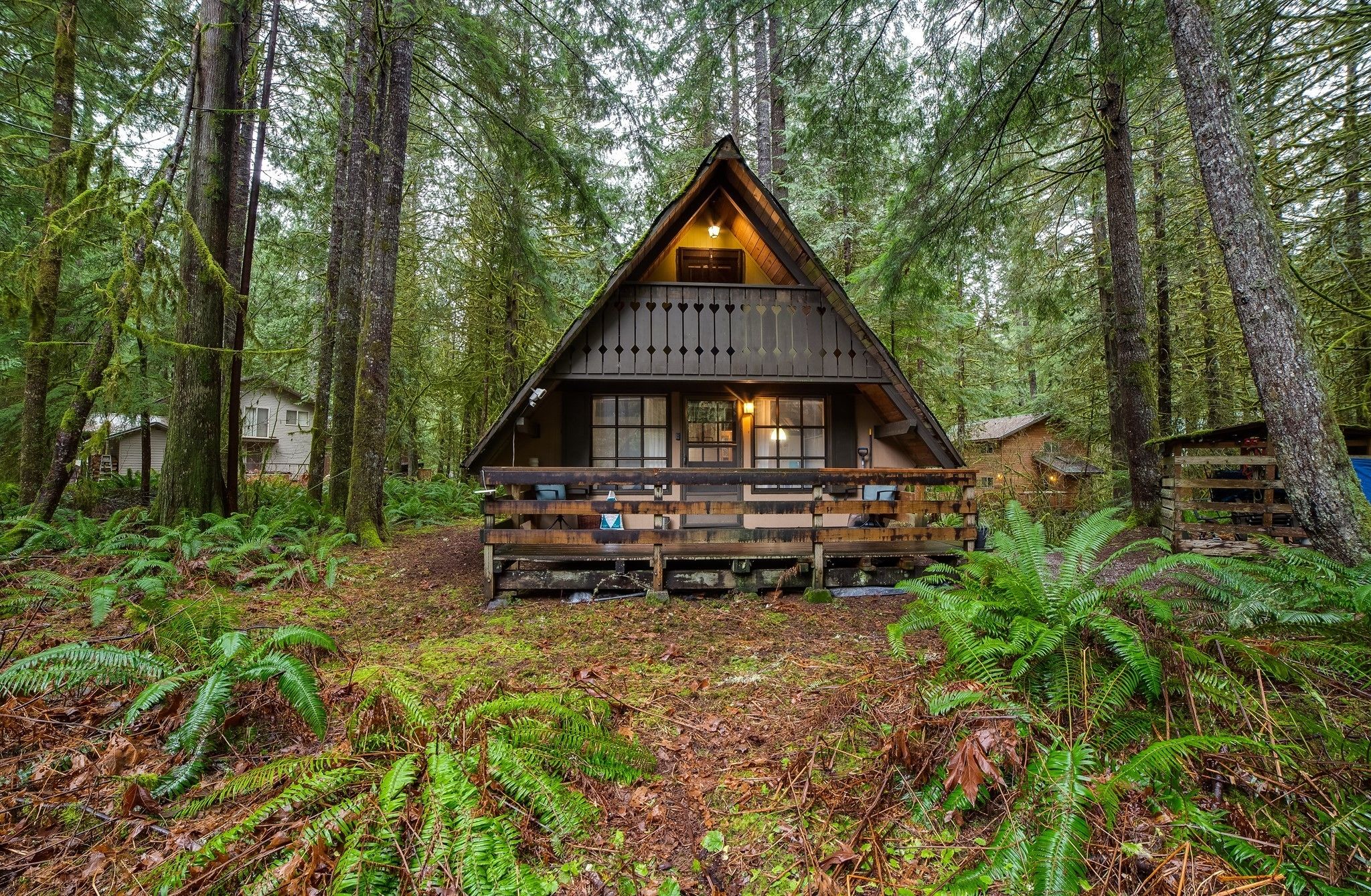 Mount Baker by Mt. Baker Lodging