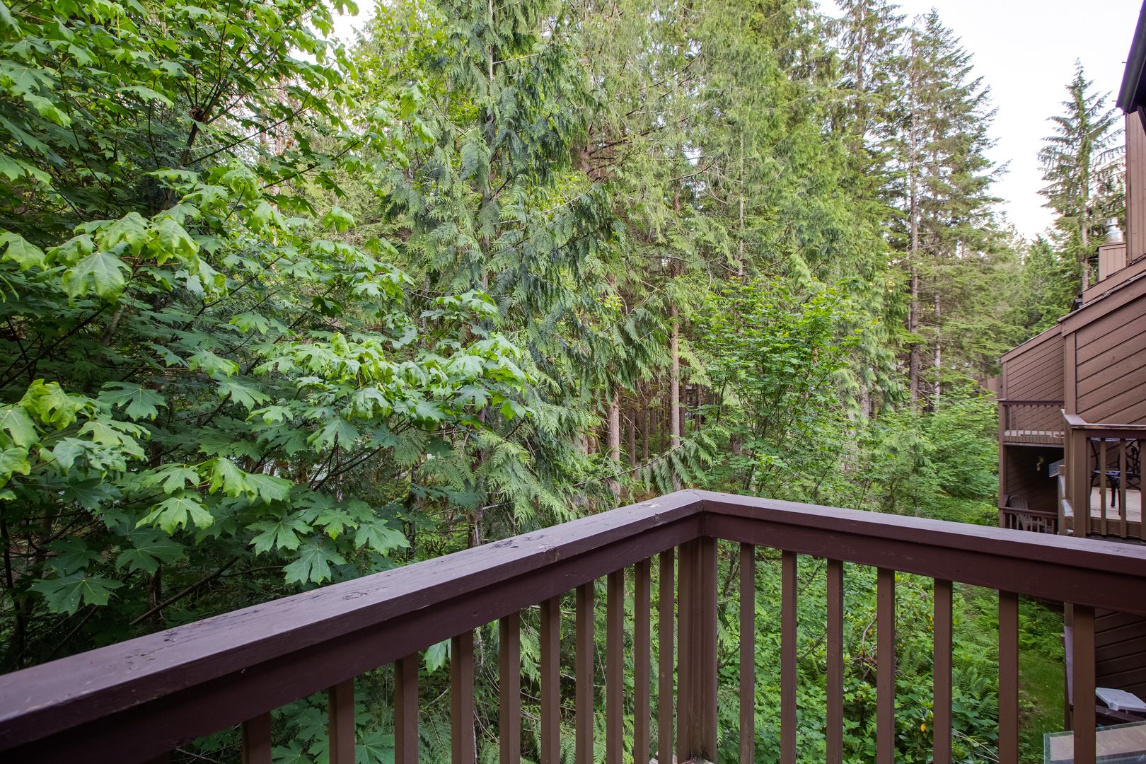 Mount Baker by Mt. Baker Lodging