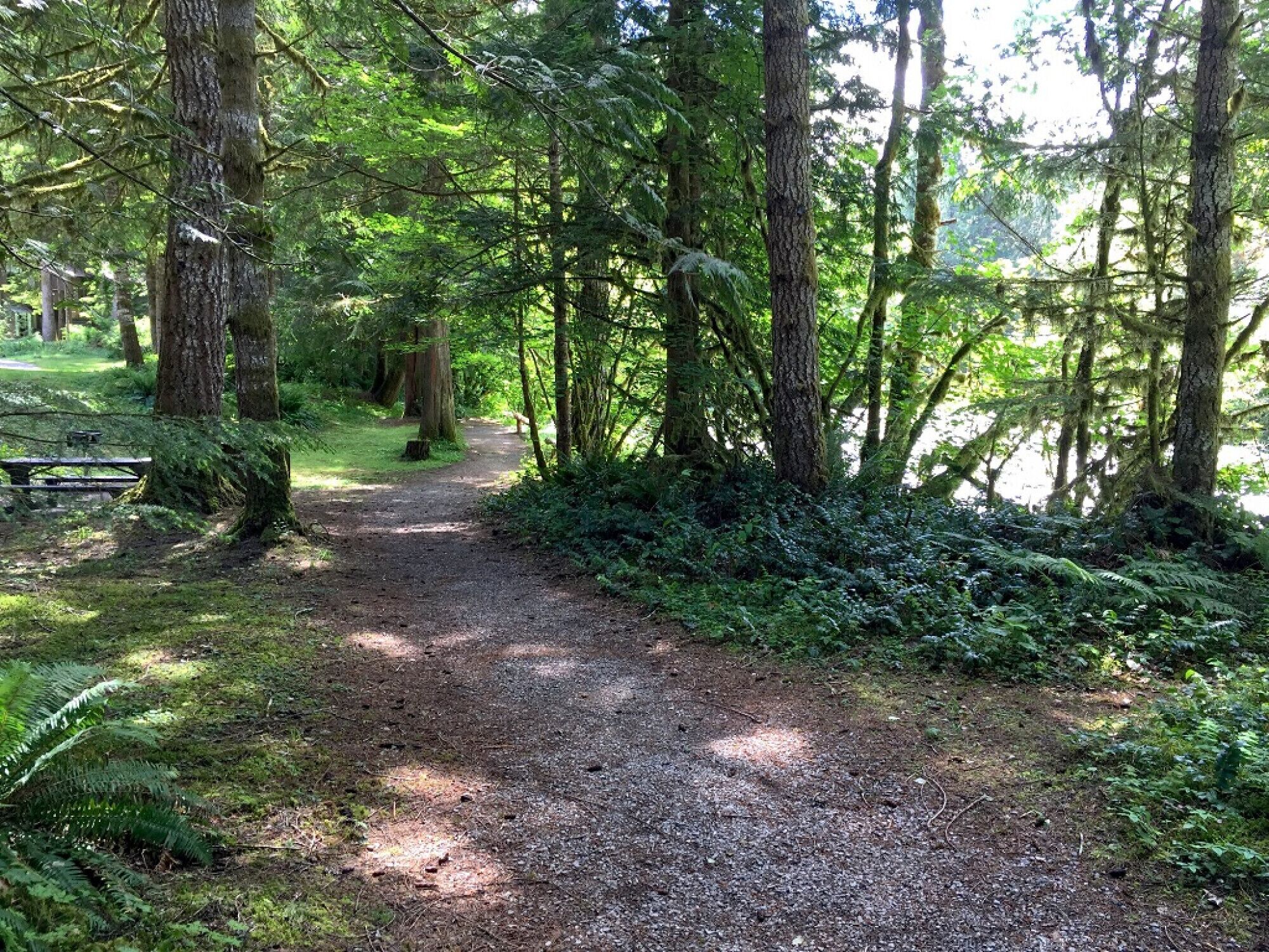 Snowater by Mt. Baker Lodging