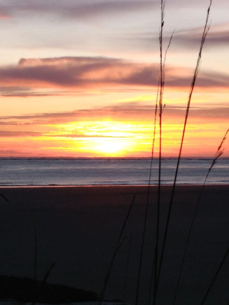 North Cove Vacation WA Cabins Rentals
