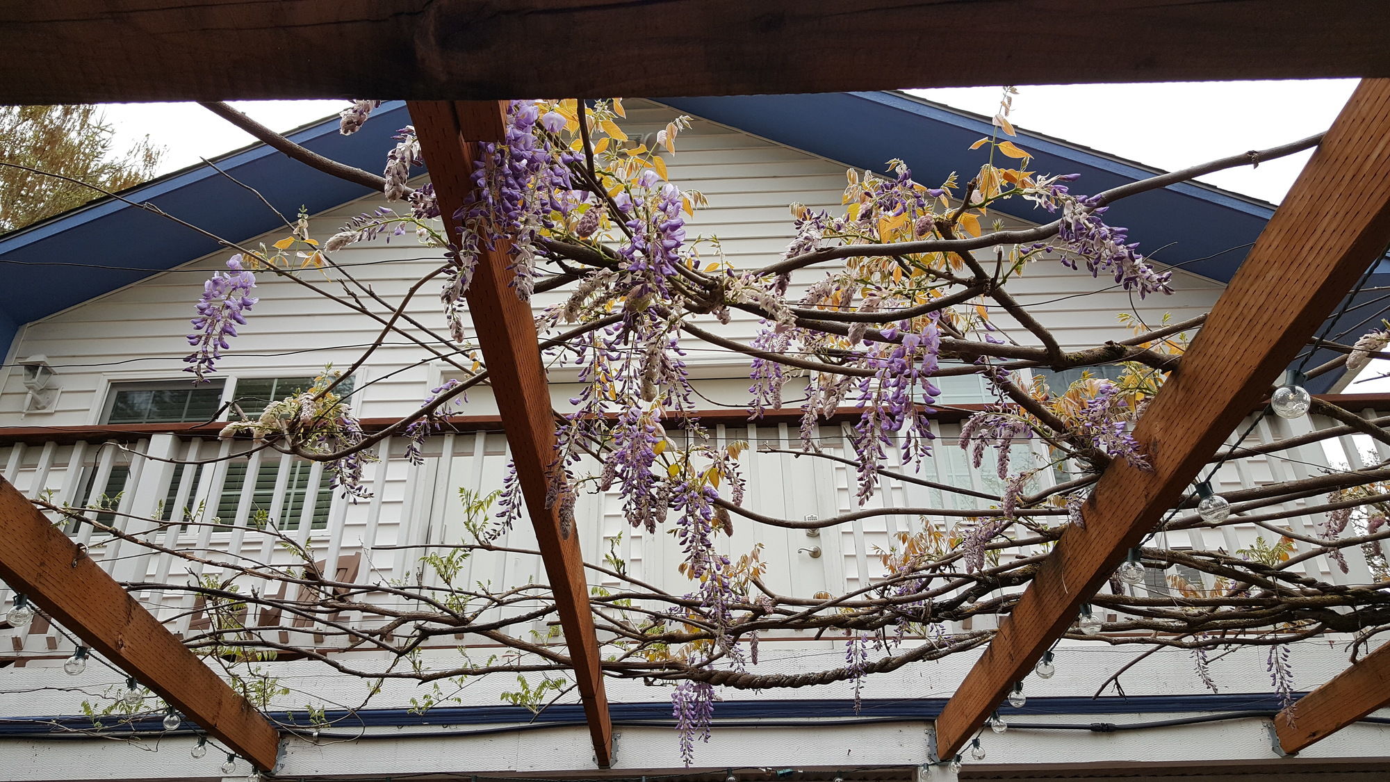 Husum's Riverside Bed And Breakfast