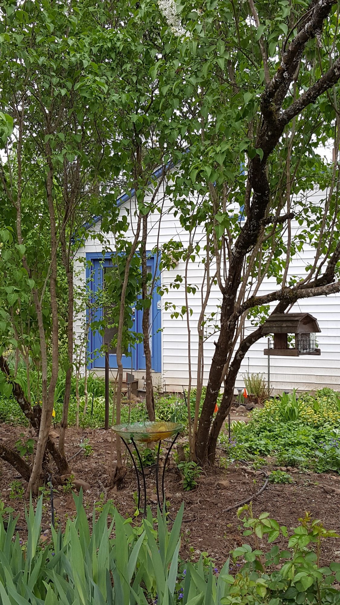 Husum's Riverside Bed And Breakfast