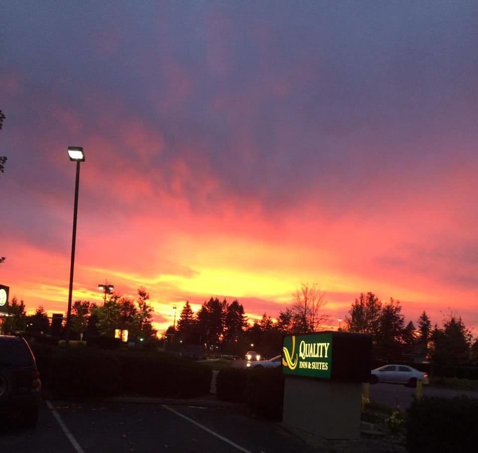 Quality Inn & Suites Lacey I-5