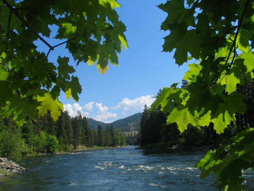 Alpine Rivers Inn