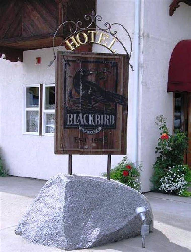 Blackbird Lodge