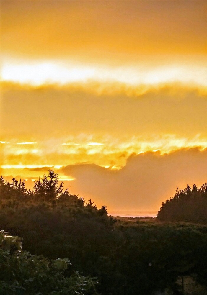 Boreas Bed & Breakfast Inn