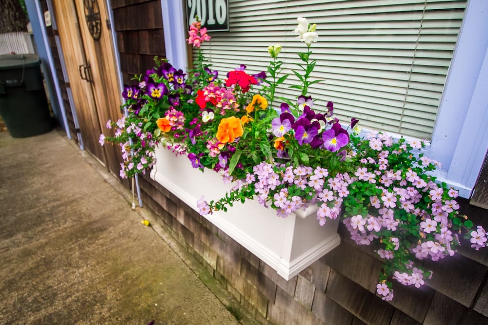 Boreas Bed & Breakfast Inn