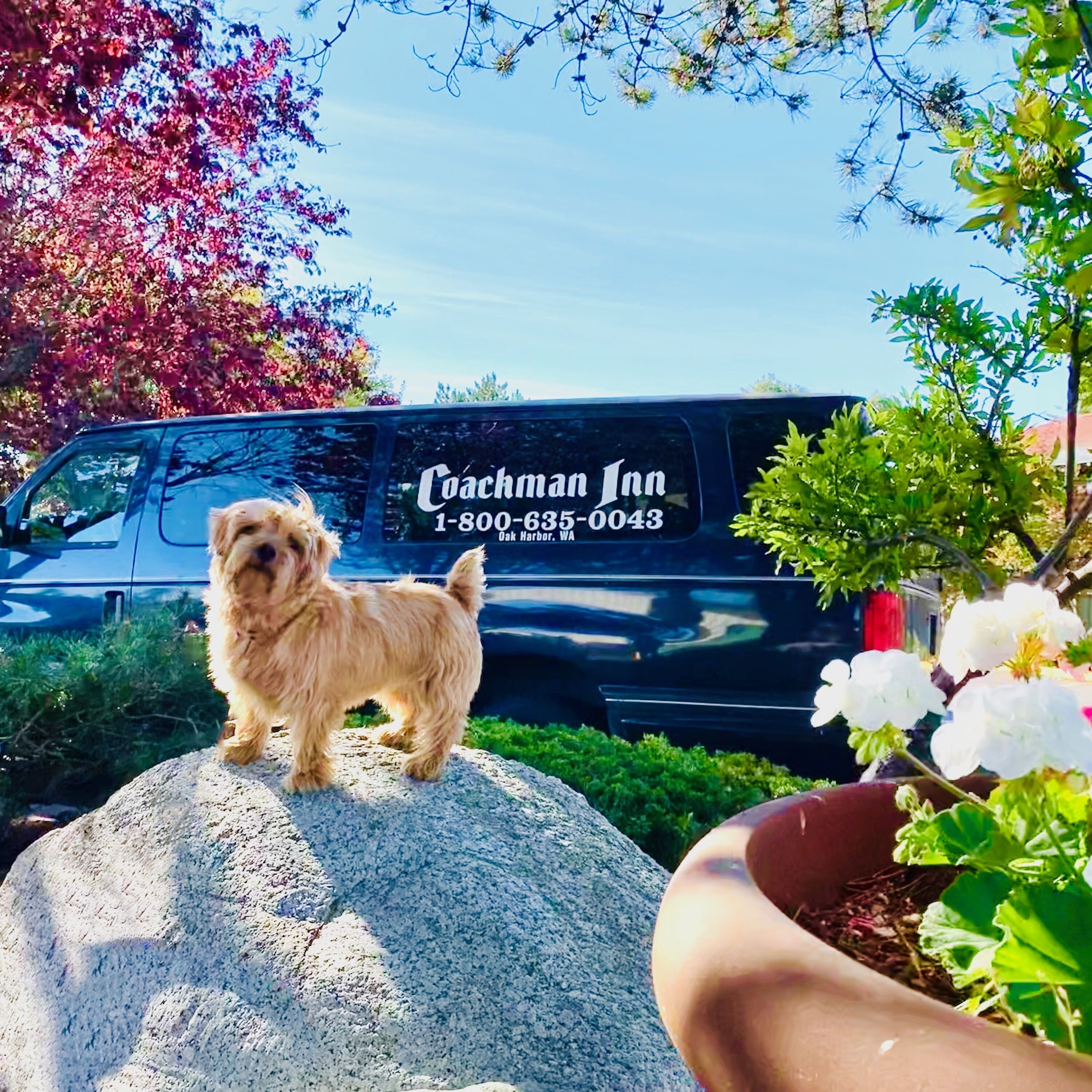 Coachman Inn
