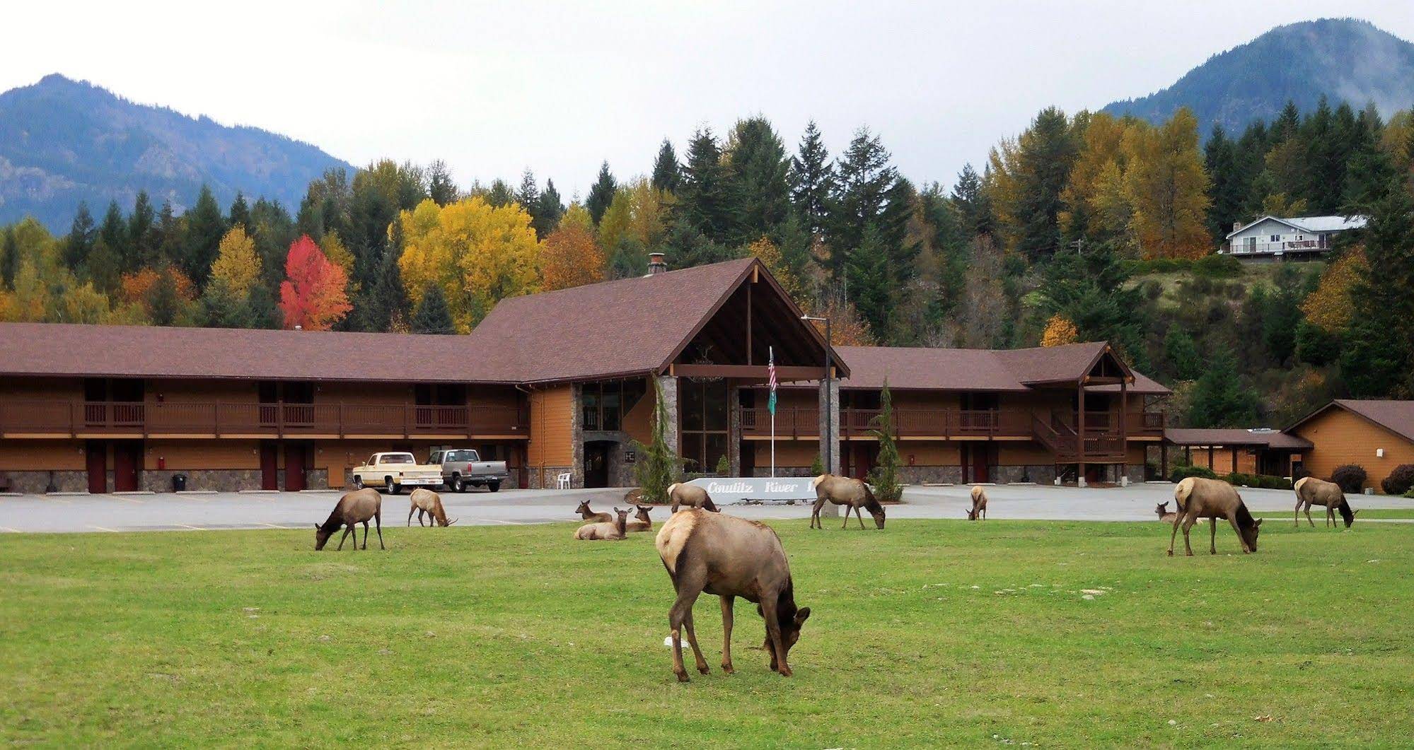 Cowlitz River Lodge