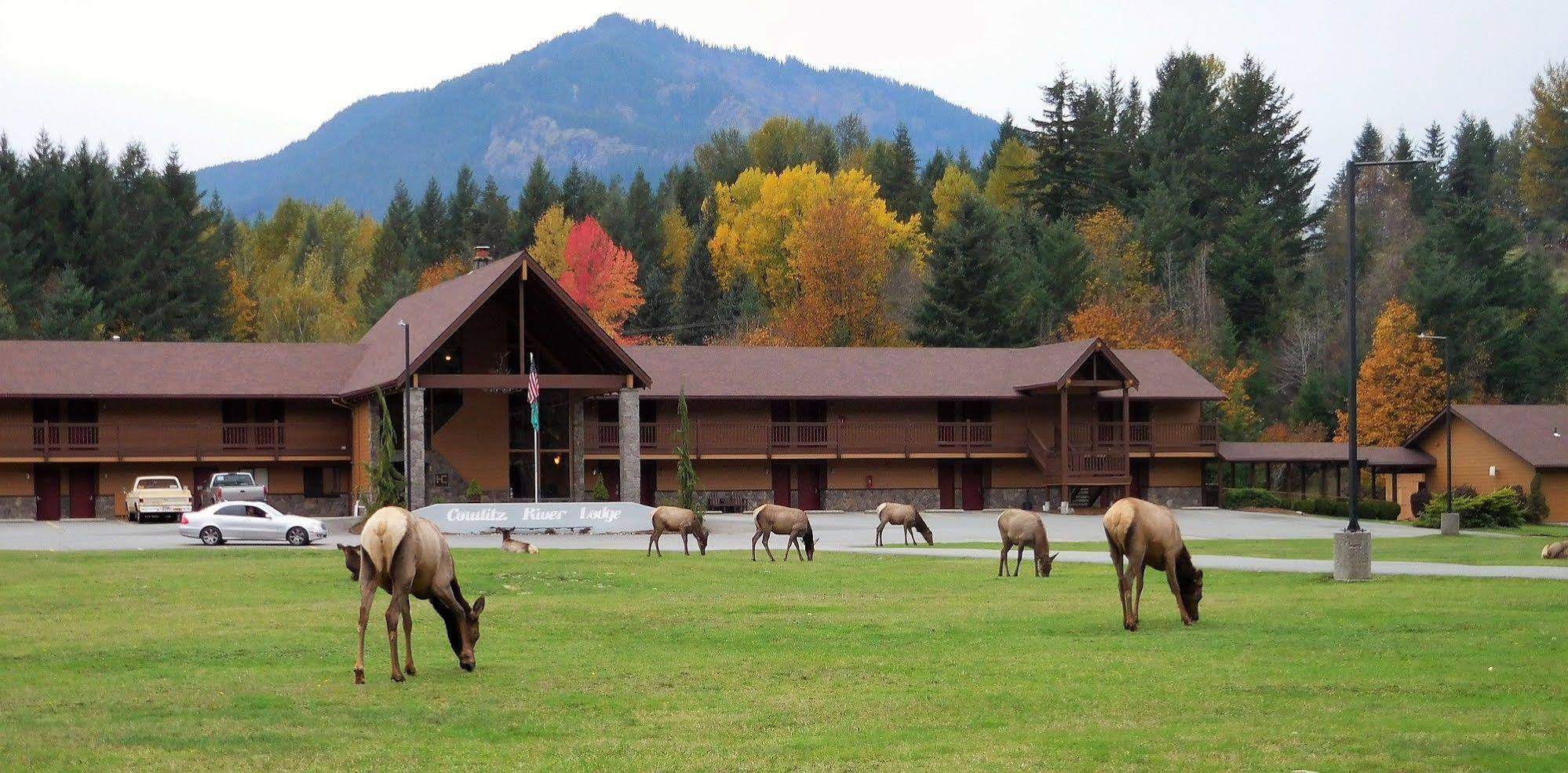 Cowlitz River Lodge