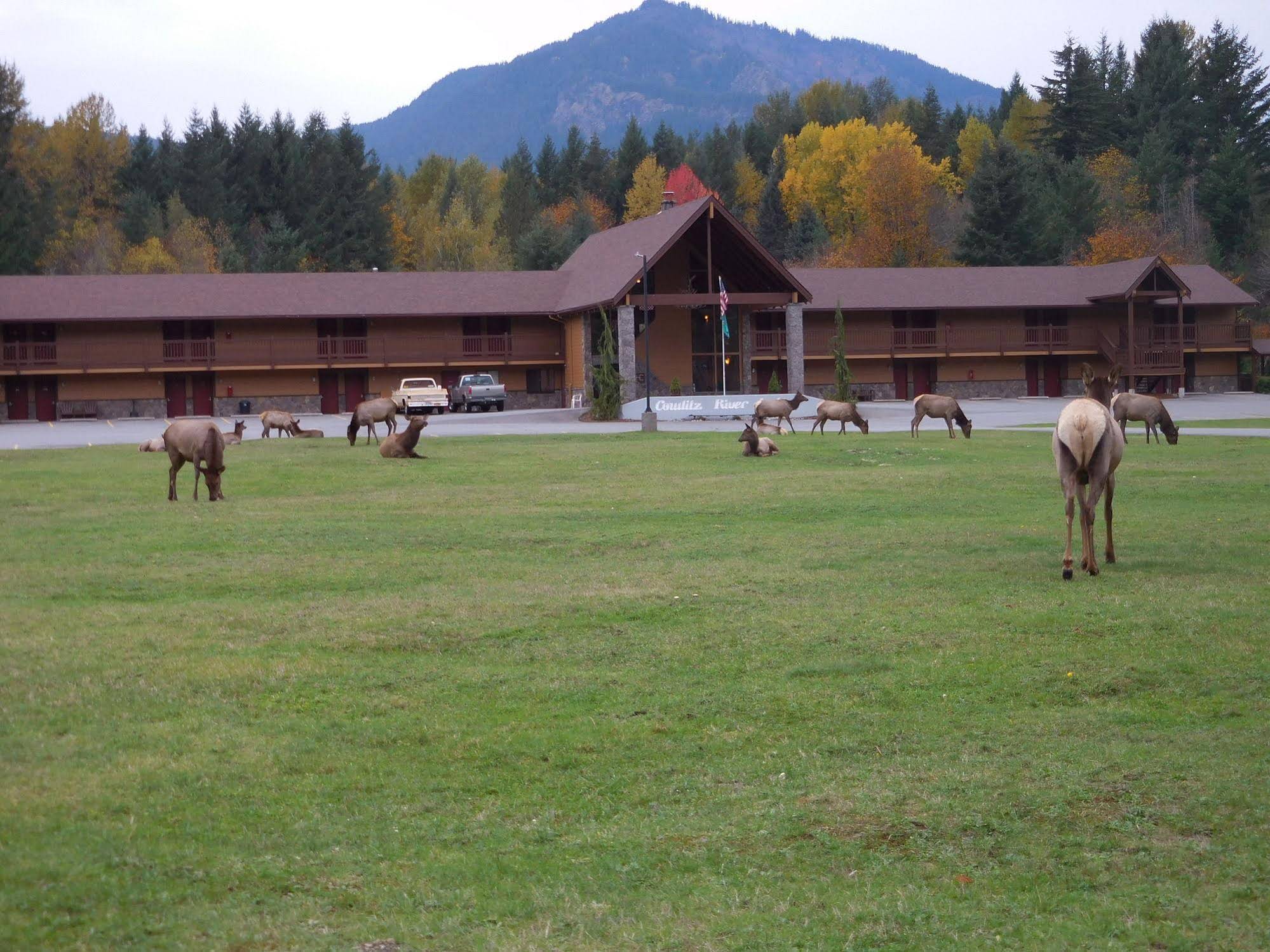 Cowlitz River Lodge