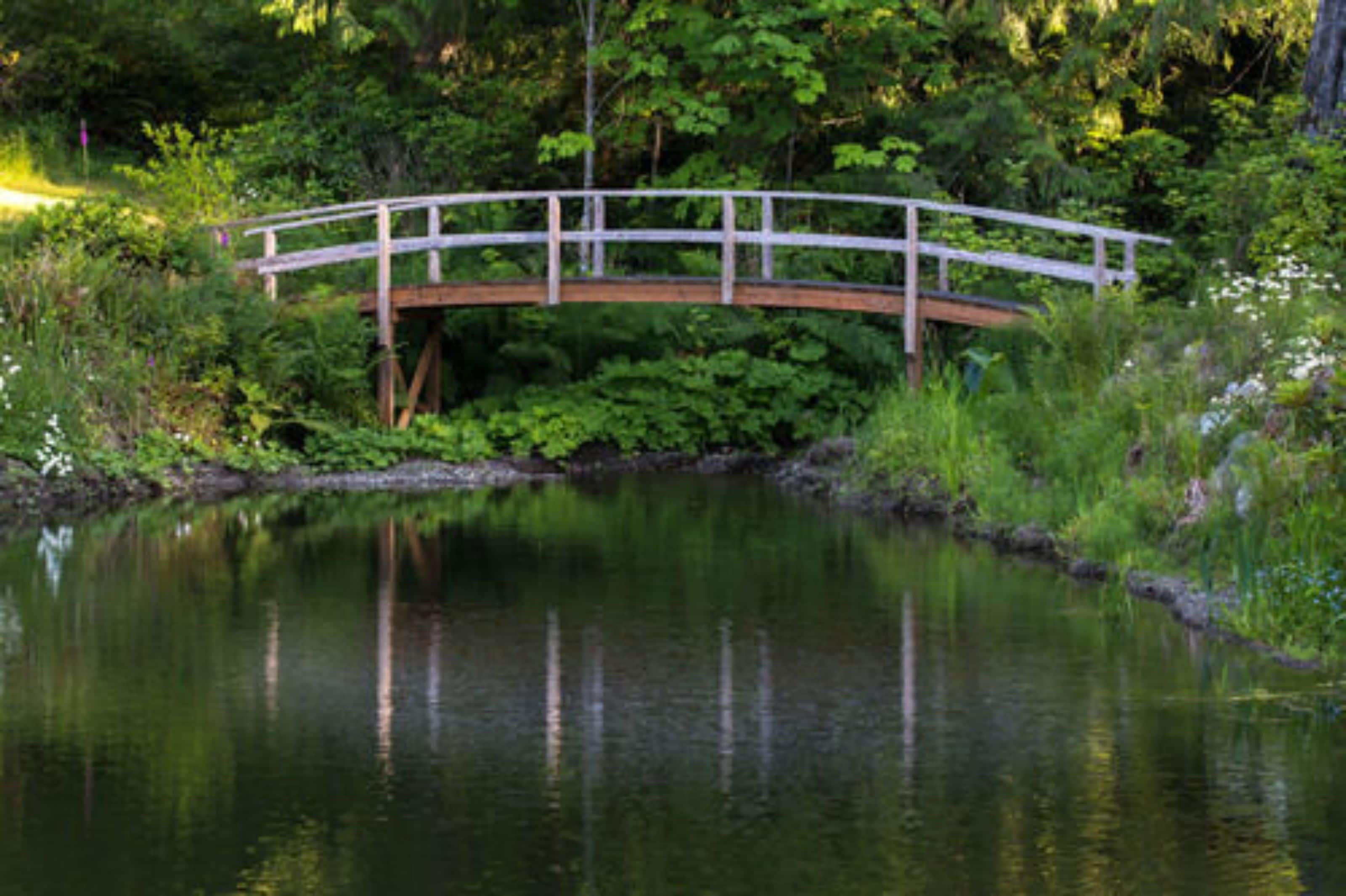 A Hidden Haven & Water Garden Cottages