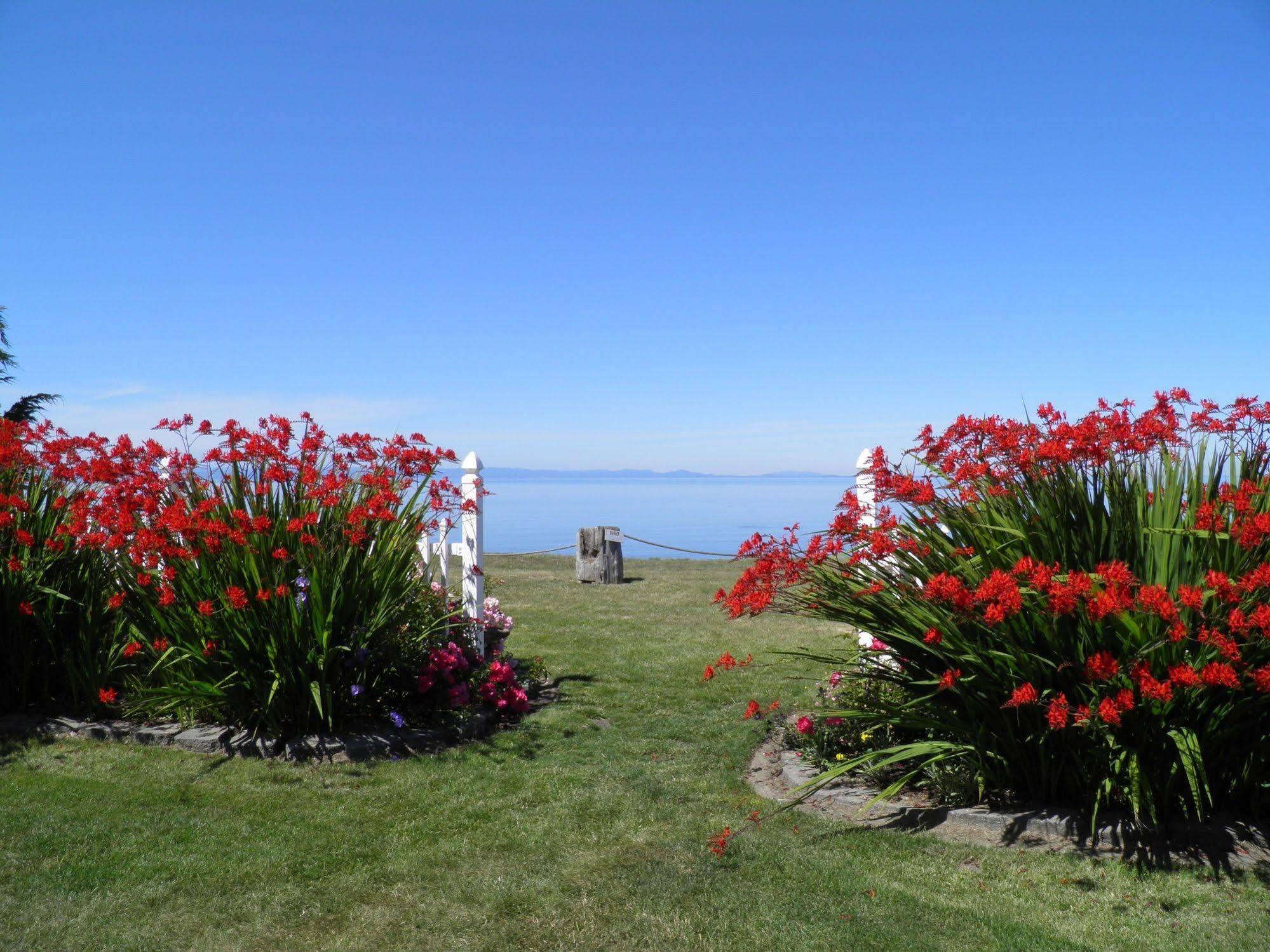 Sea Cliff Gardens Bed & Breakfast