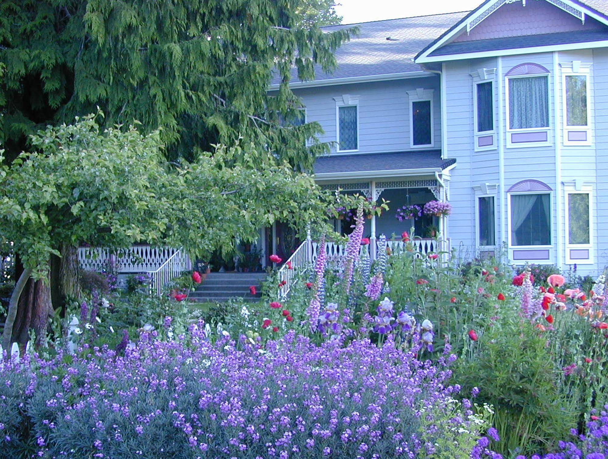 Sea Cliff Gardens Bed & Breakfast