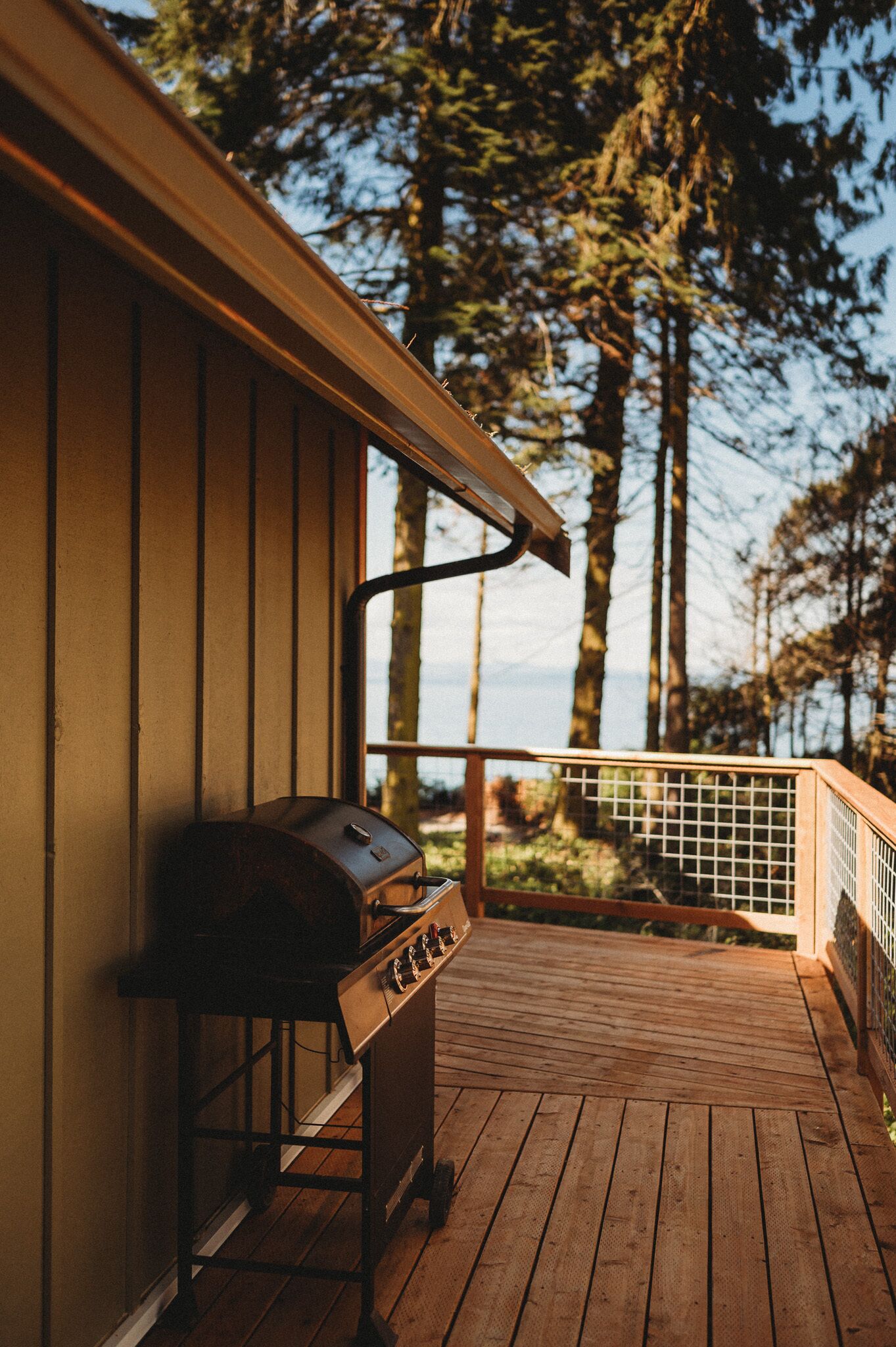 Woodland Bluff