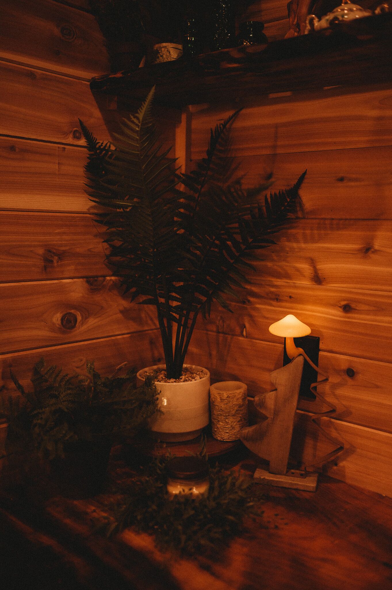 Woodland Bluff