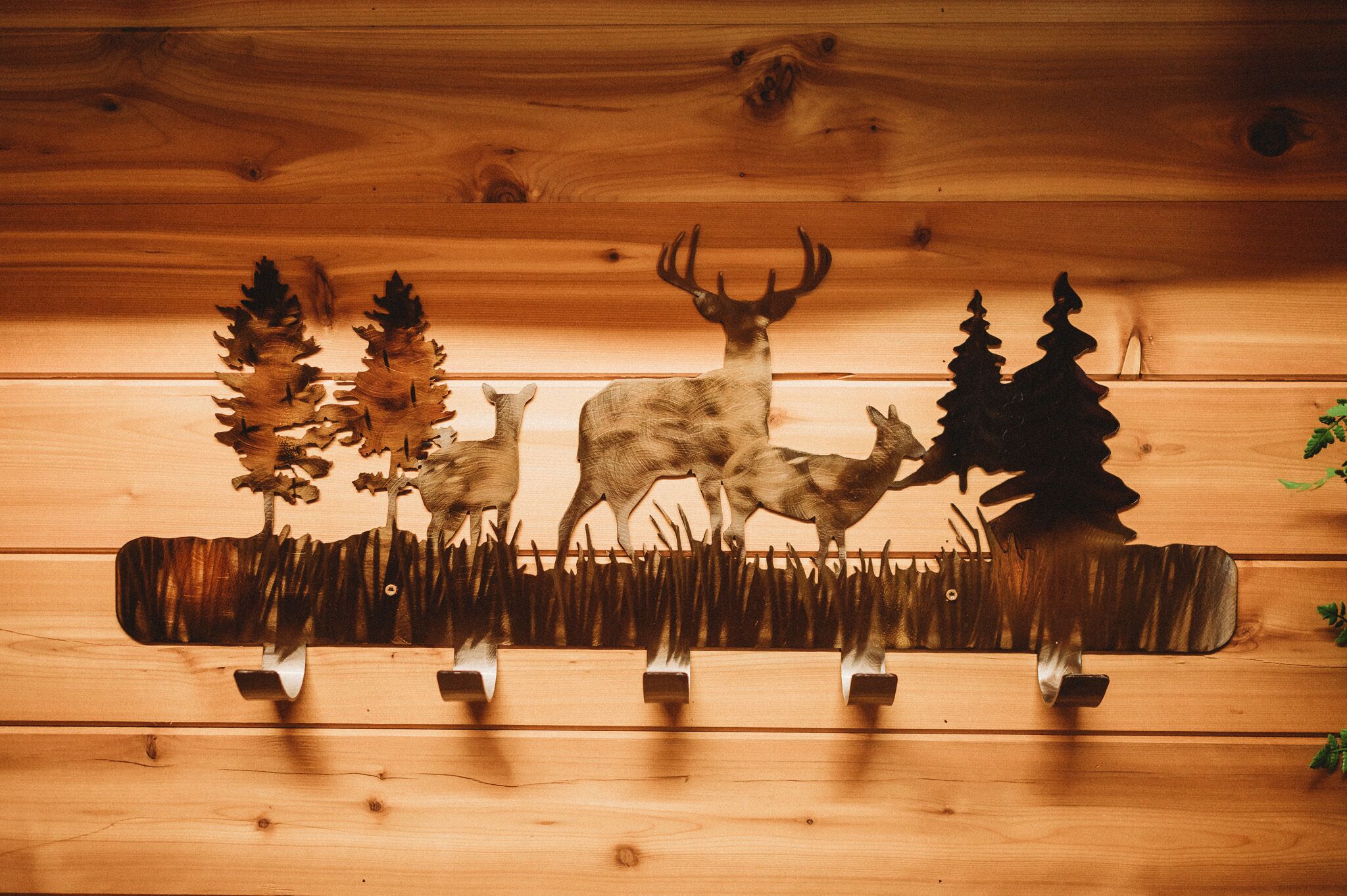 Woodland Bluff