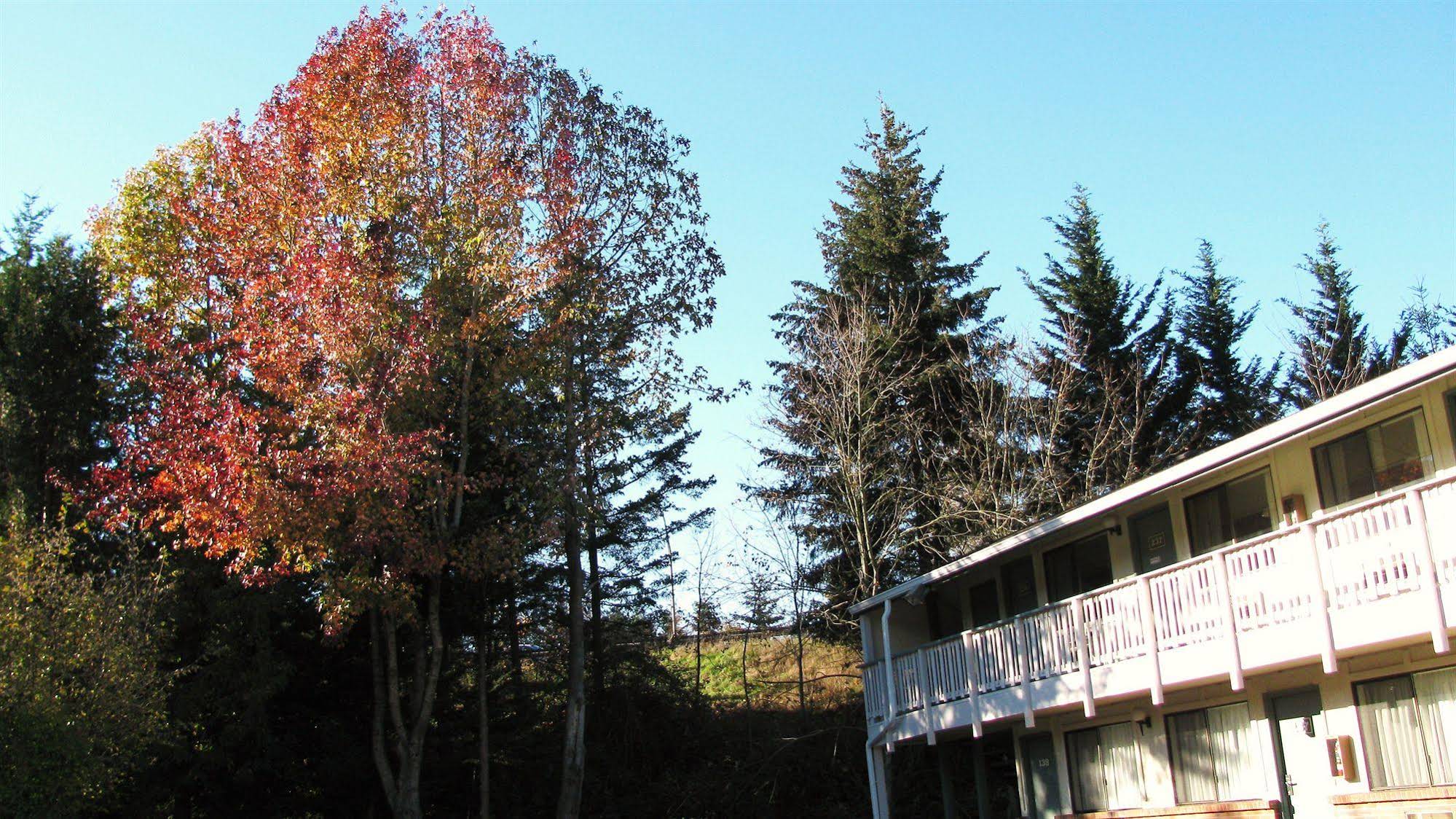 Motel Puyallup