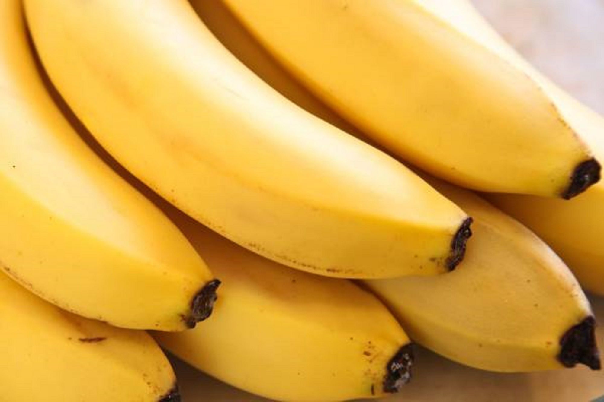 Holiday Inn Express & Suites Richland