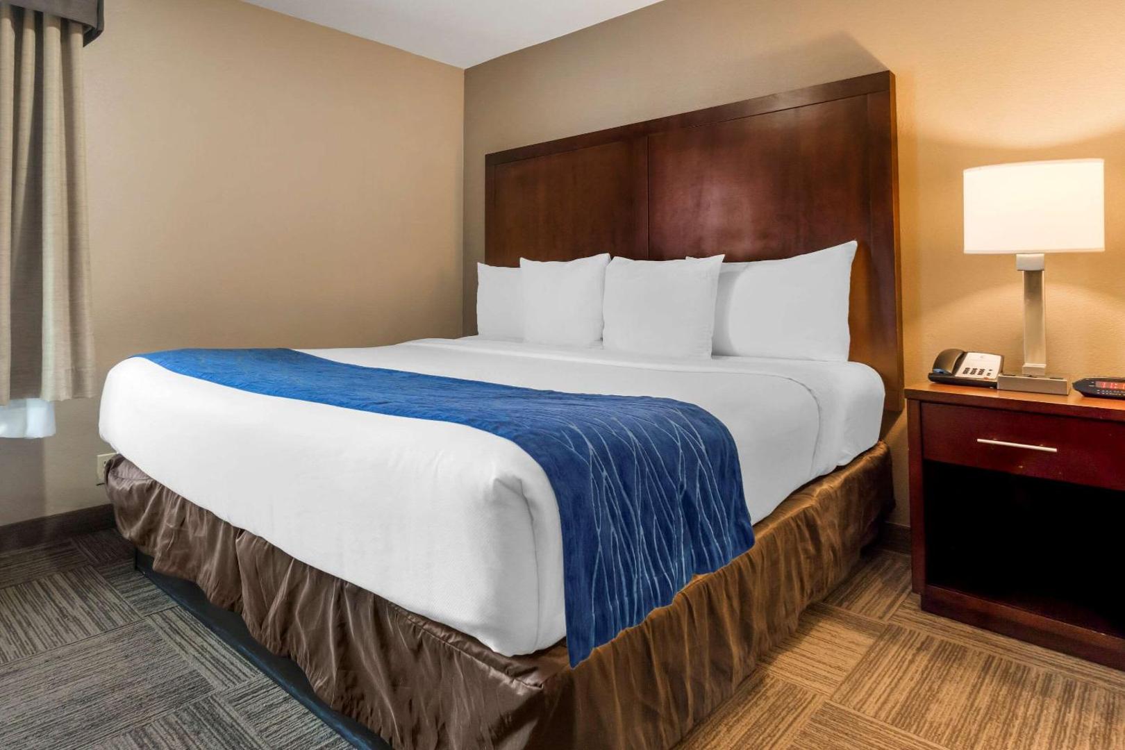 Comfort Inn & Suites Sea-Tac Airport