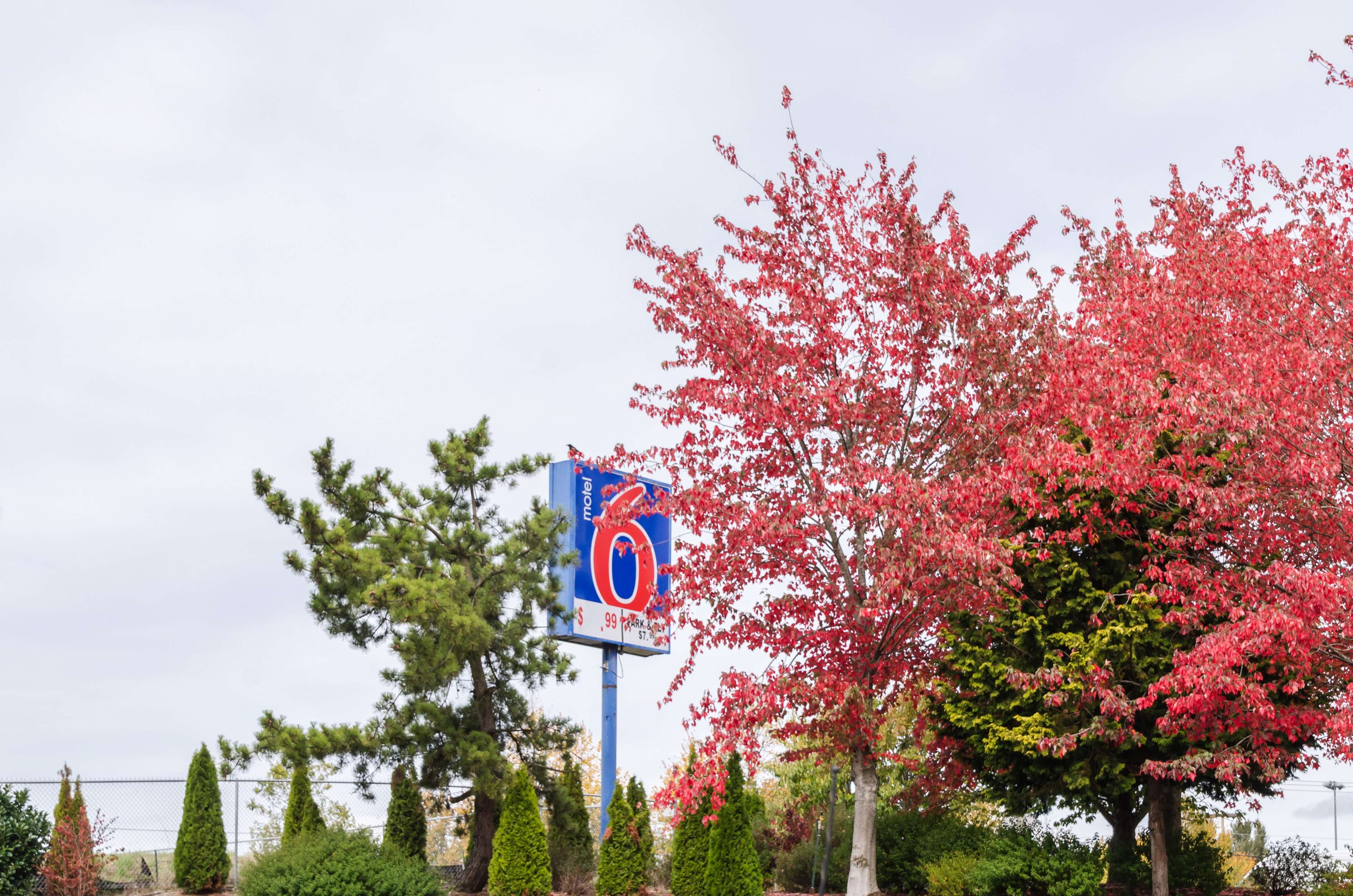 Motel 6 Seattle Sea-tac Airport South
