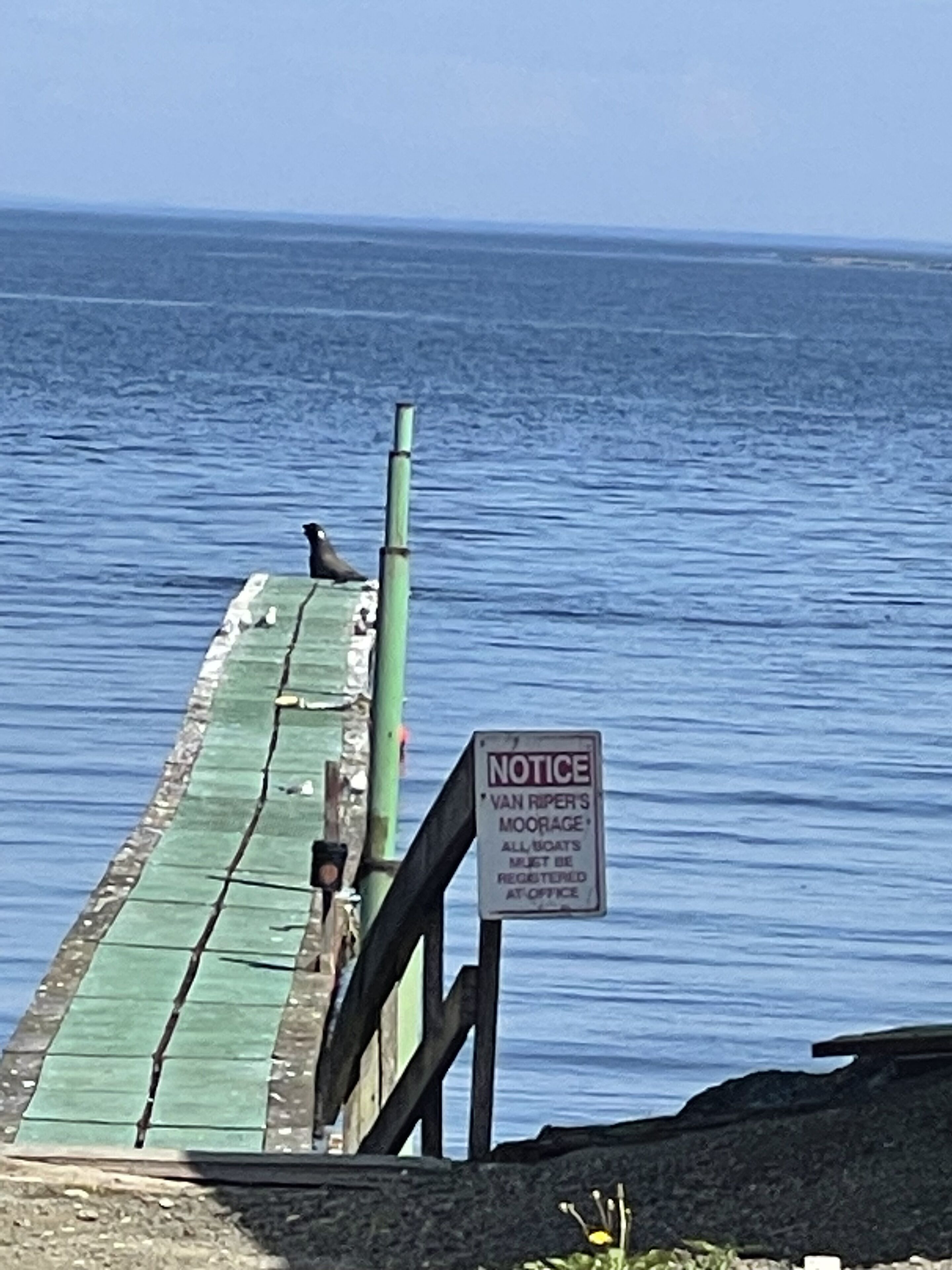 Curley's Resort & Dive Center
