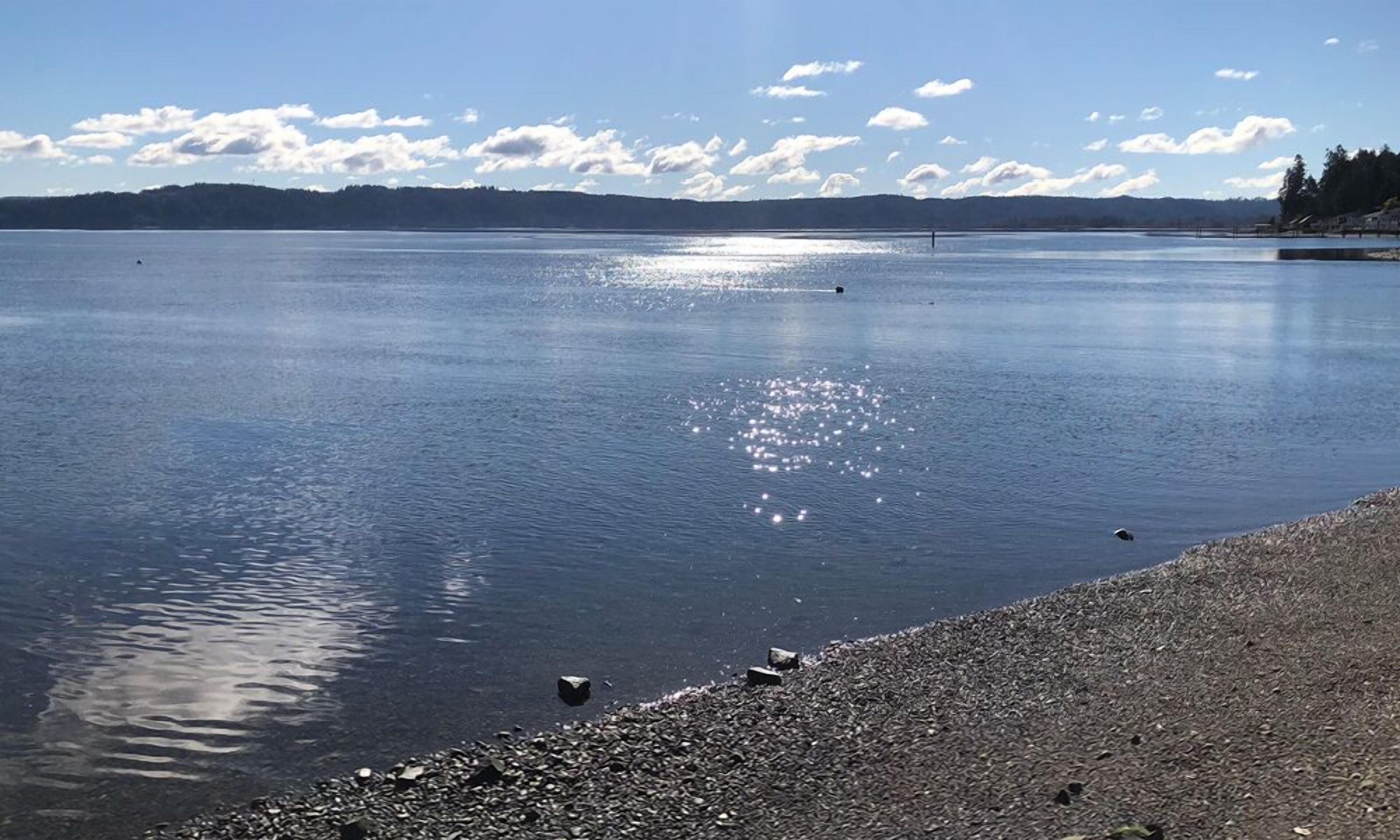 The Waterfront at Potlatch