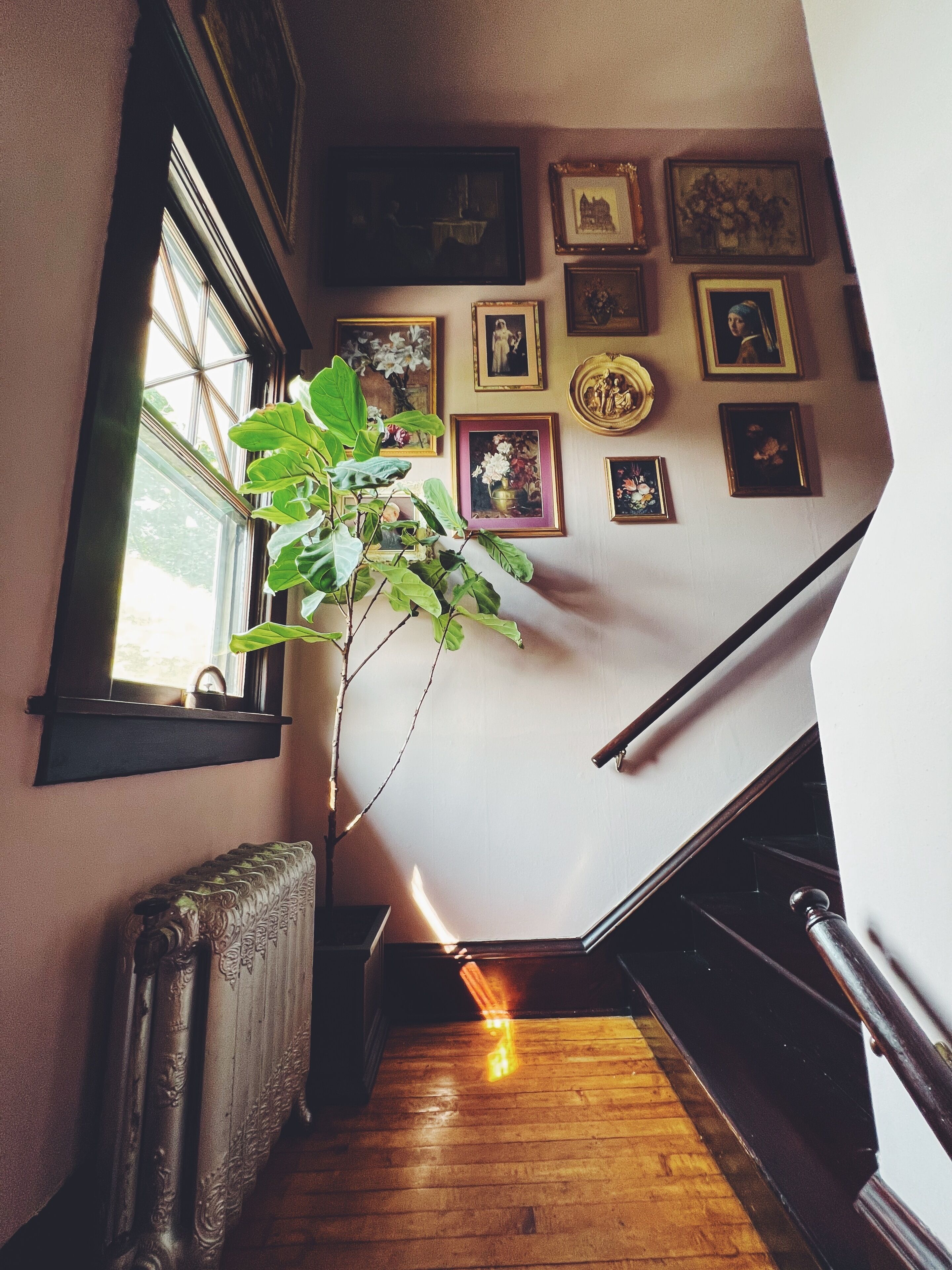 Marianna Stoltz House